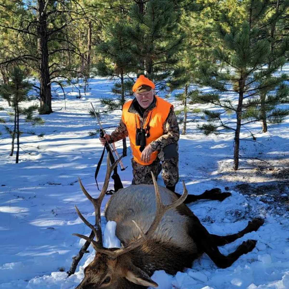 Bald Mountain Bugling - Elk Hunt