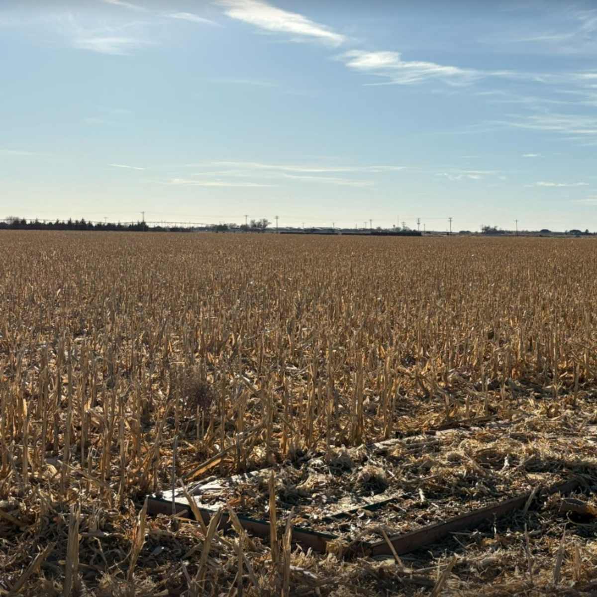 Platte Valley - 4 man goose pit