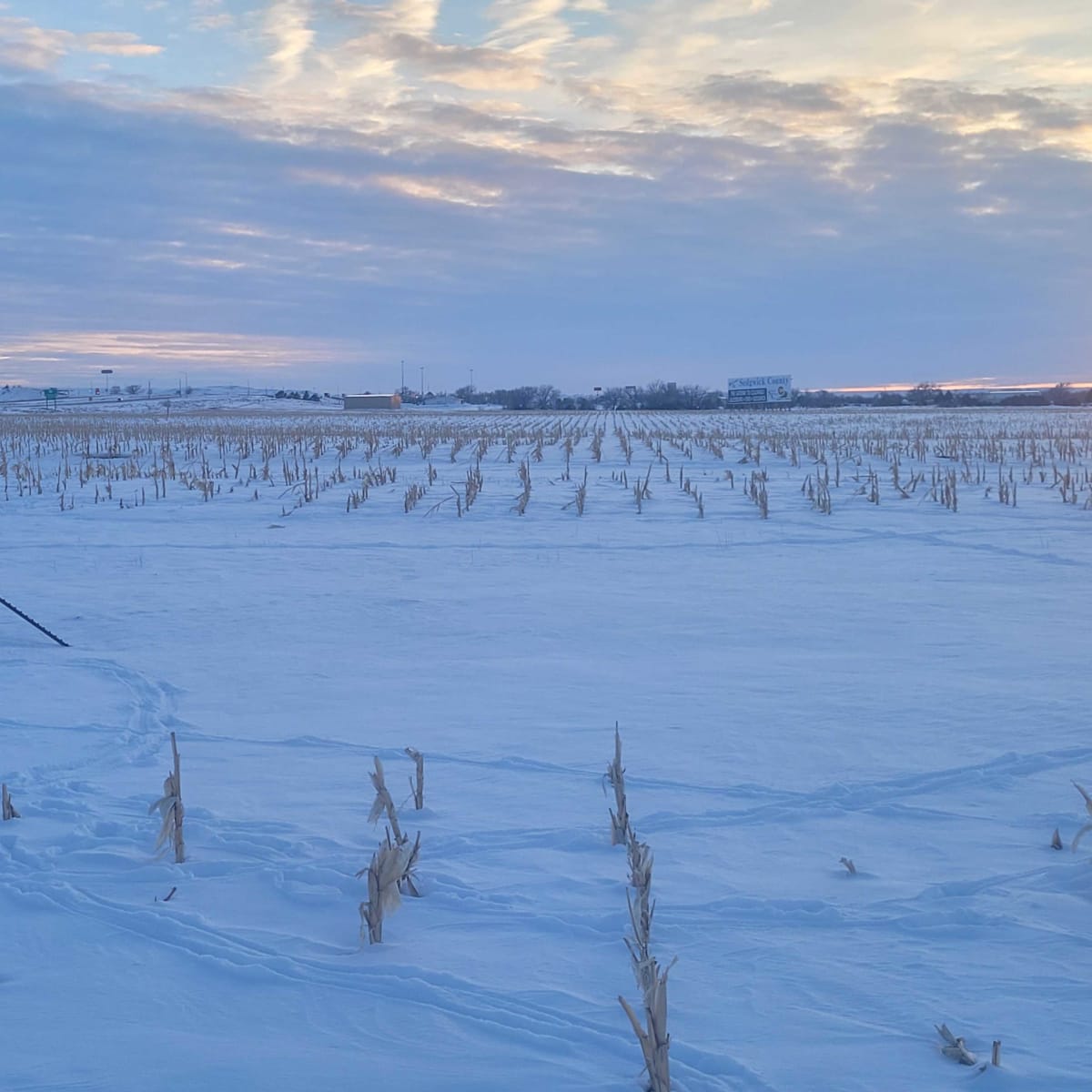 Platte Flats - Waterfowl