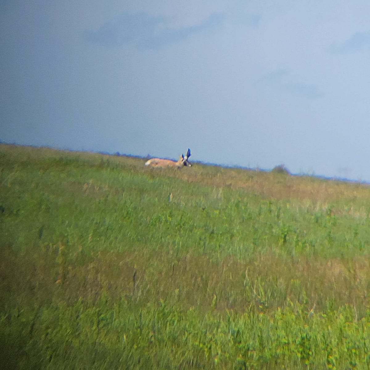 Big Sandy - Pronghorn Hunt 3-Day