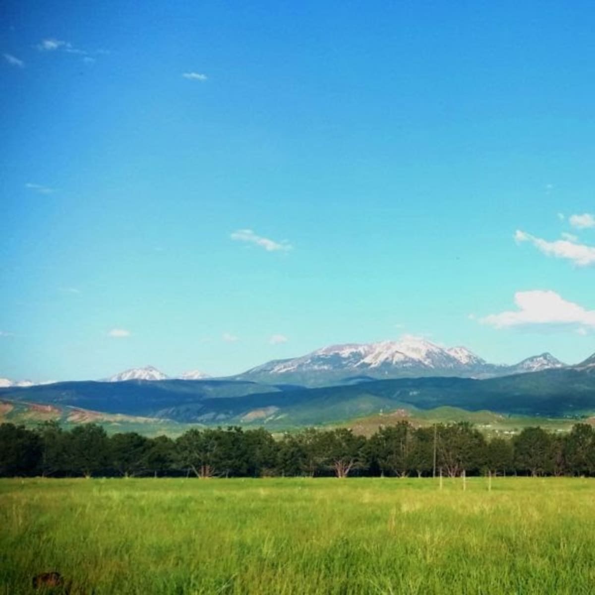 Elk Ranch Lodge- 5 Day Elk Hunt