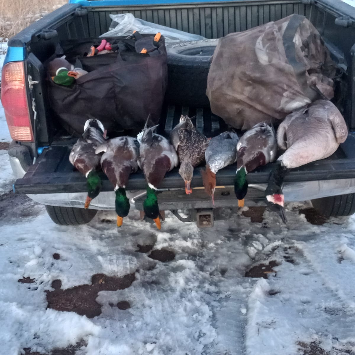 Gander River (South Platte) - East Blind