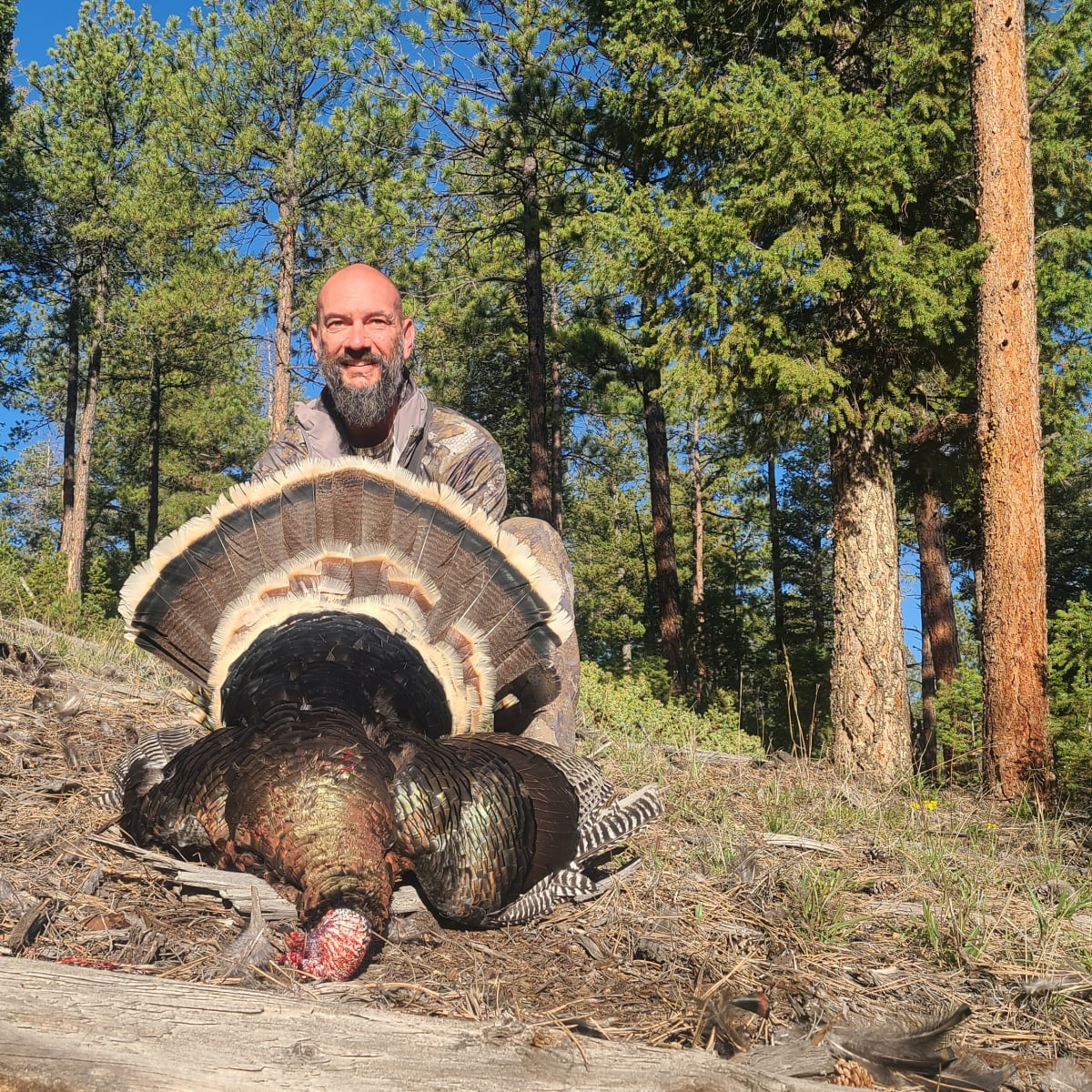 Ragsdale Ranch - Turkey