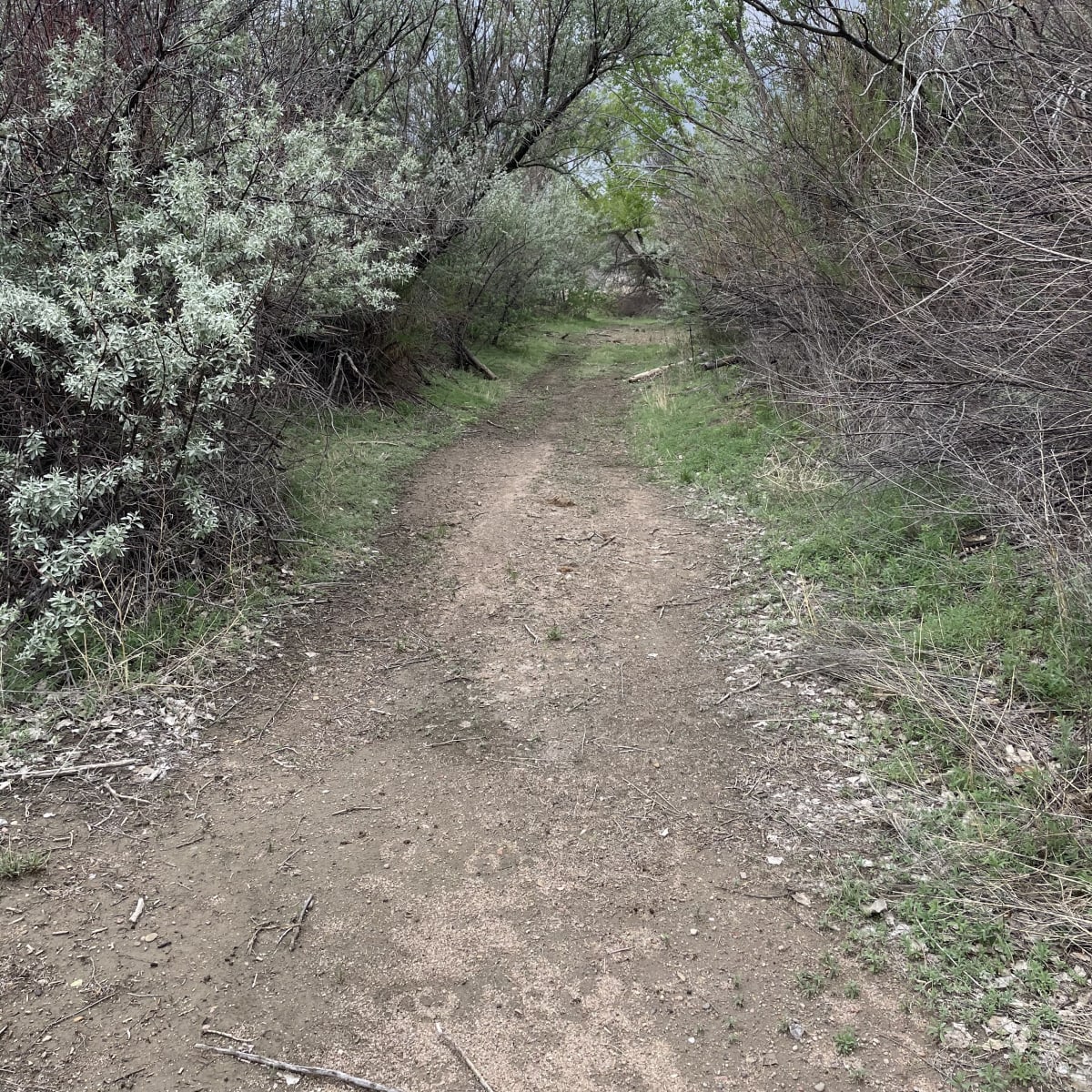 The Running A Ranch - Waterfowl