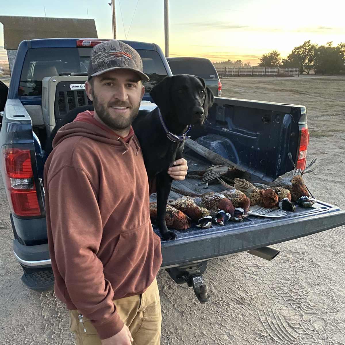Hickman Lake - Pheasant