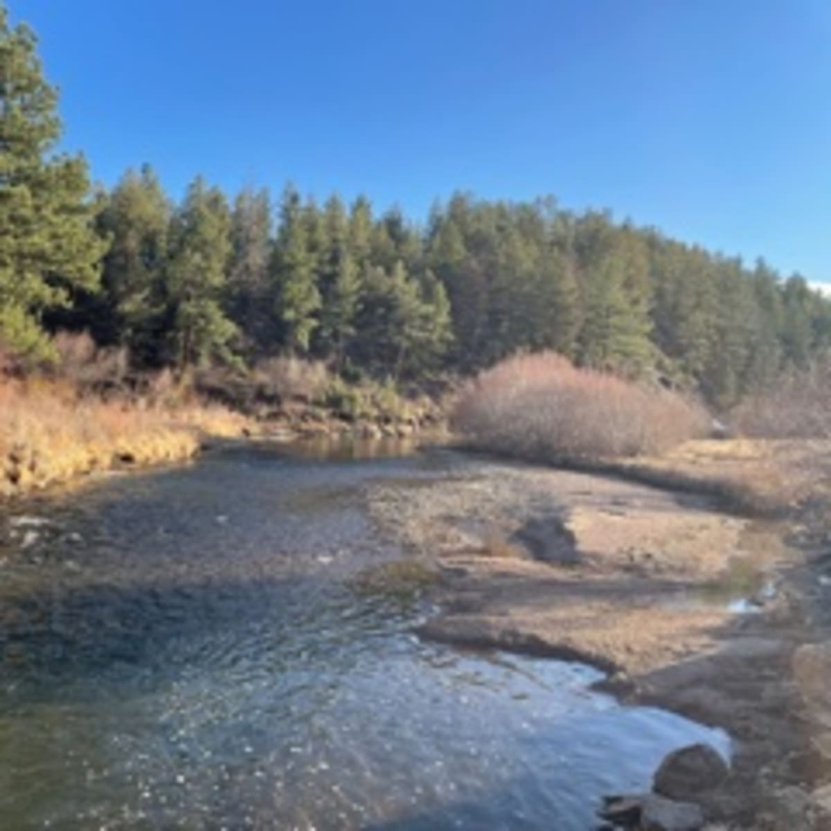 Ragsdale Ranch - South Platte