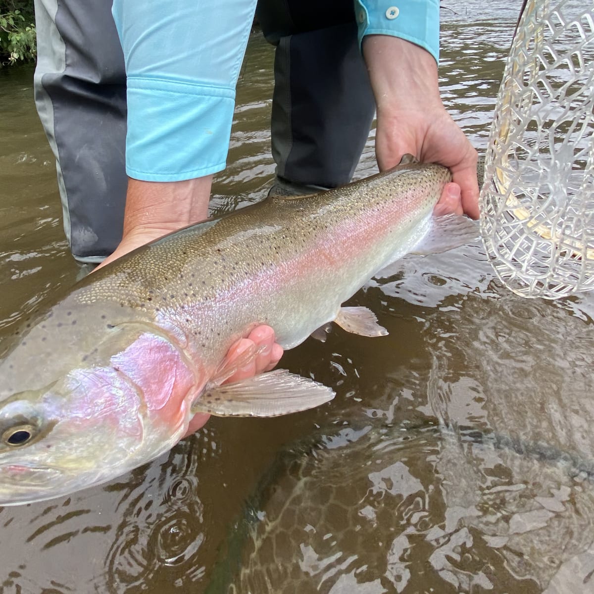Ragsdale Ranch - South Platte