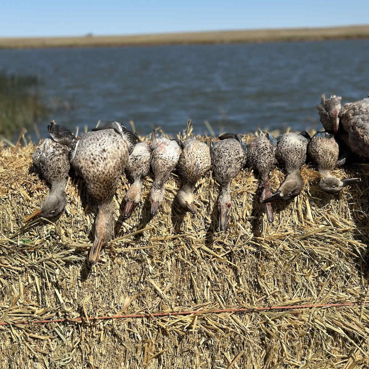 Hofer Farms Reservoir - Community Waterfowl Blind