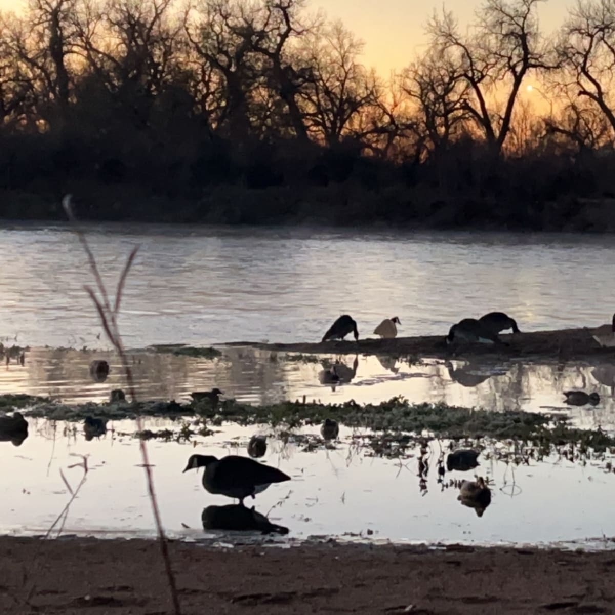 River Bend Community Blind - East Blind