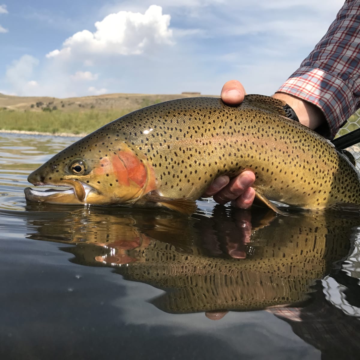 Tank Farm - North Platte River Fishing