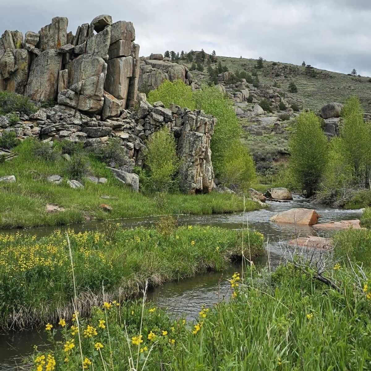 Duck Creek Road South - Access Granted