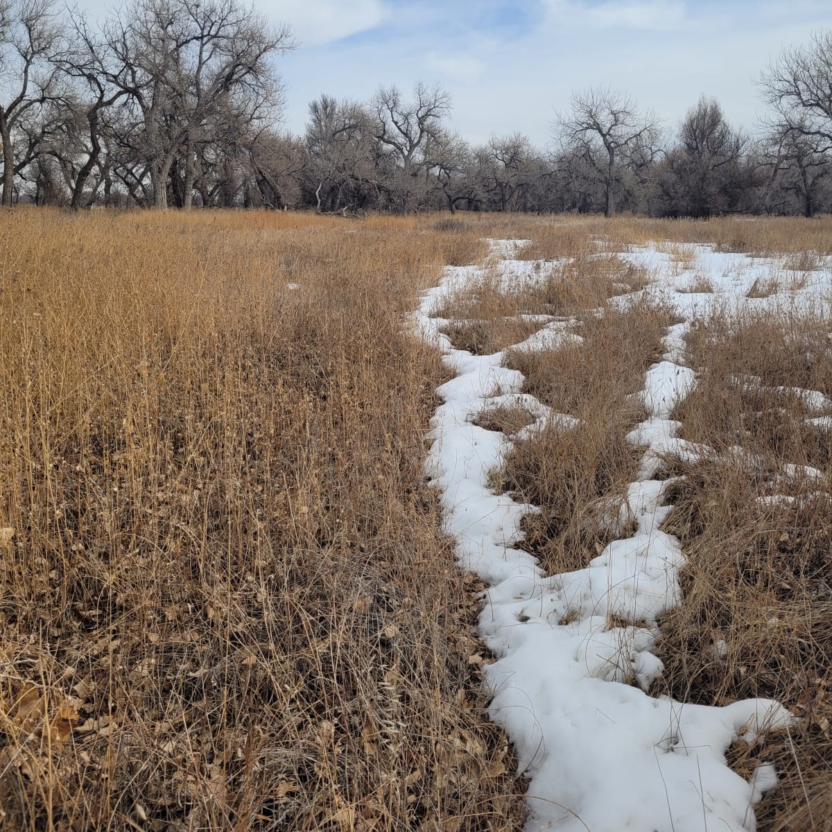 Evans South Platte - 5-Day Deer Hunt