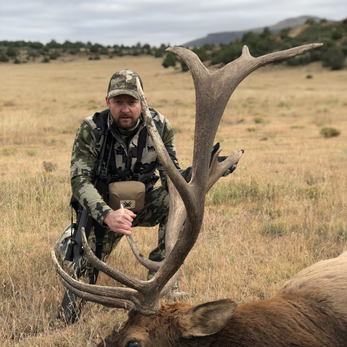 Tried and True - Late Season Elk