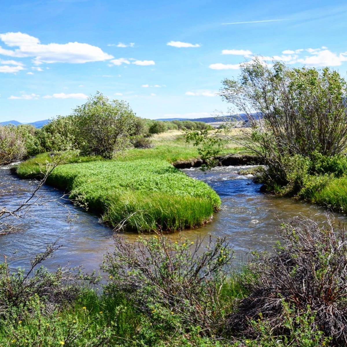 Far View Horse Ranch - North