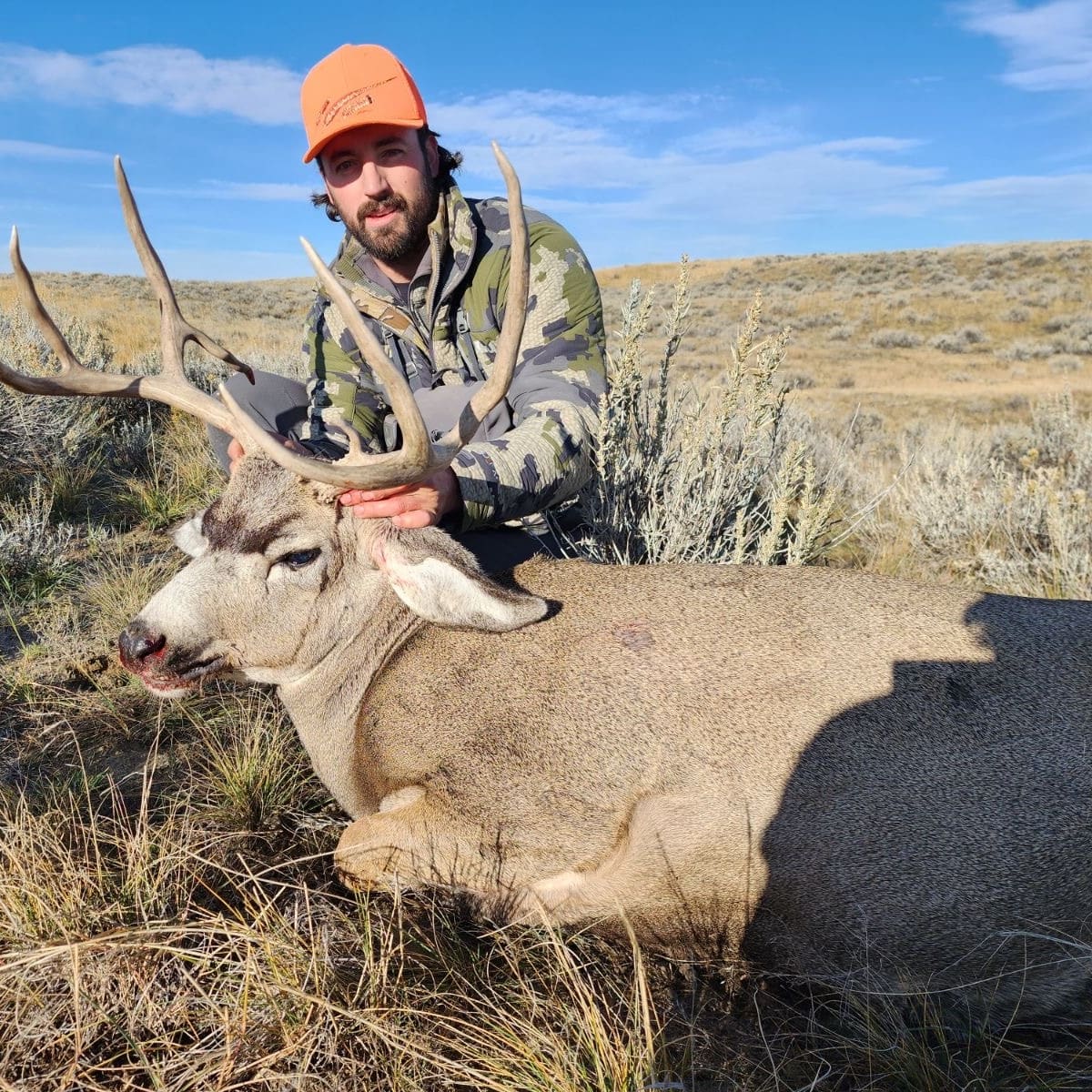 Sand Hills Mule Deer - Archery