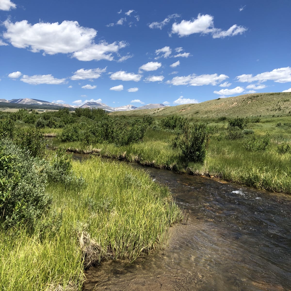 Pettee Plains Ranch