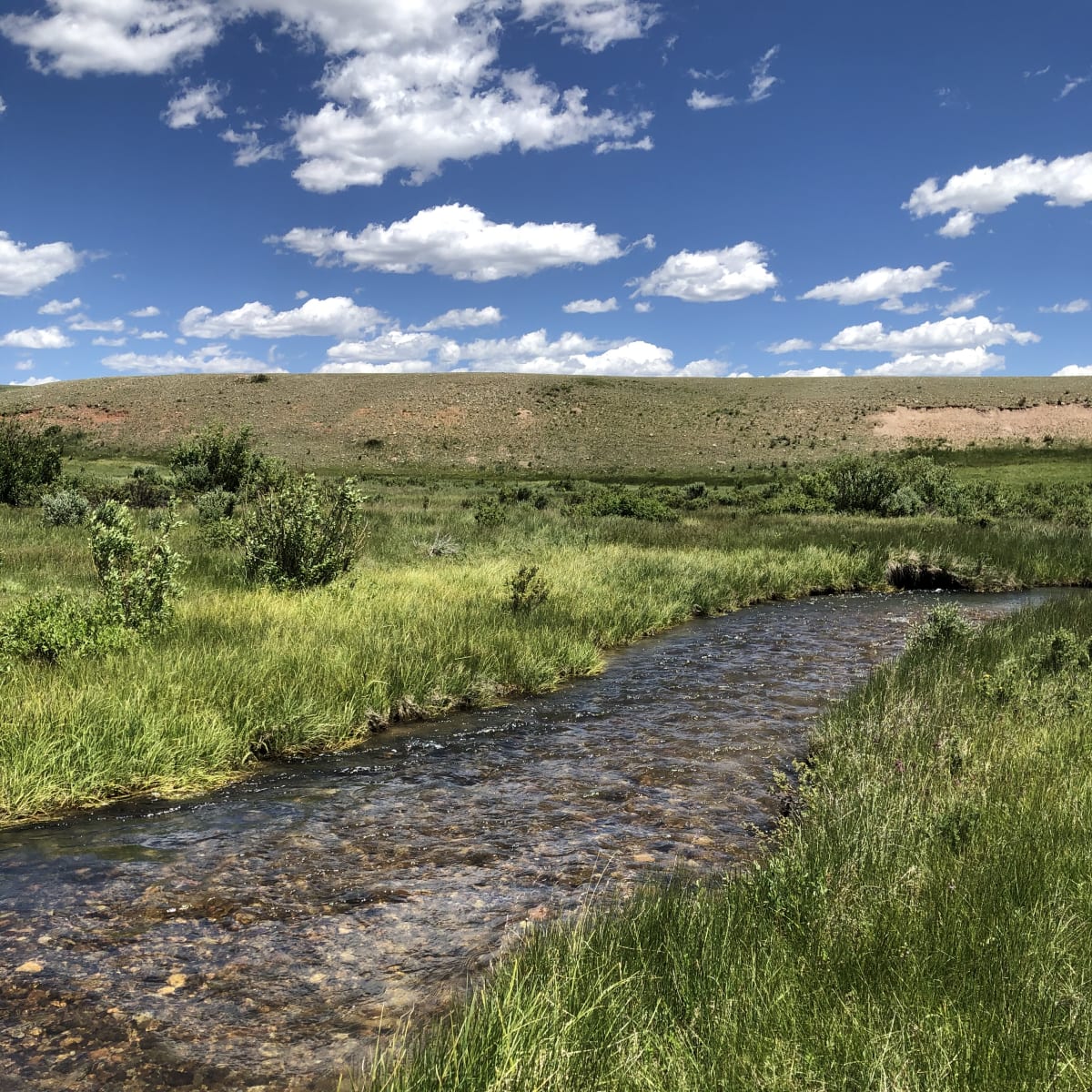 Pettee Plains Ranch