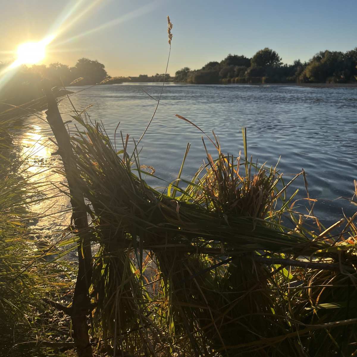 Central Bixby - Waterfowl
