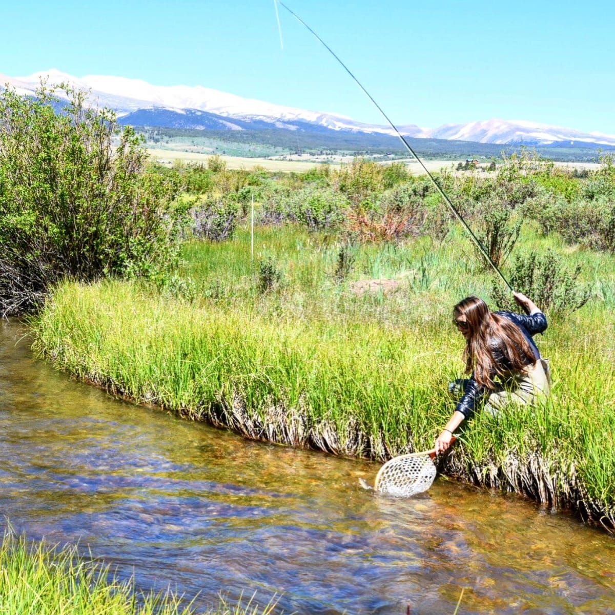 Fourmile Yak Ranch - South