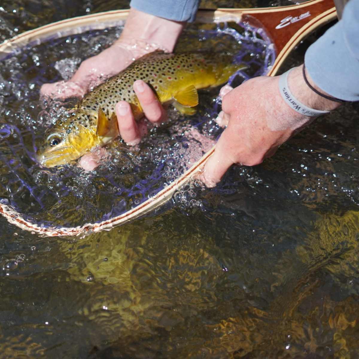 Deer Creek - Fishing