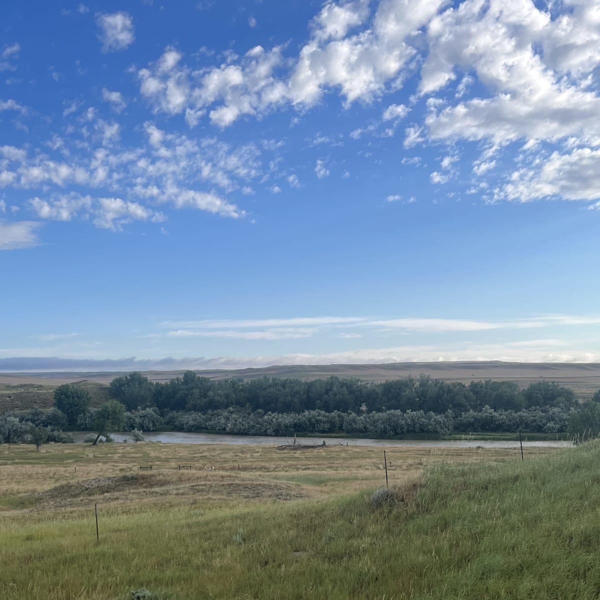 North Platte Pronghorn 