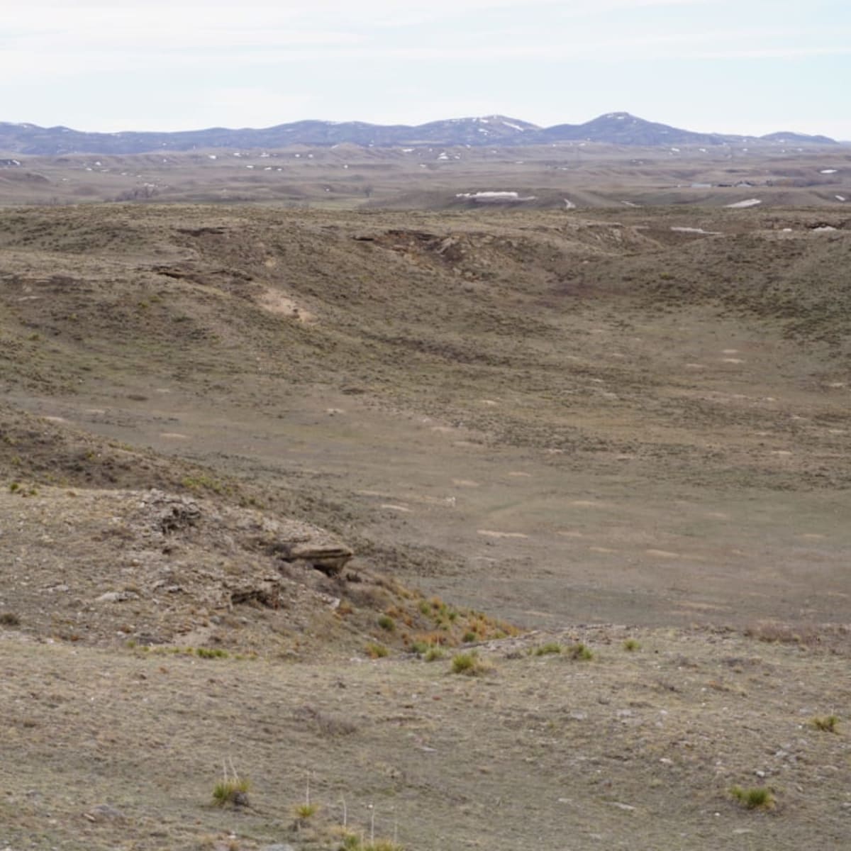 South Fork Bear - Pronghorn