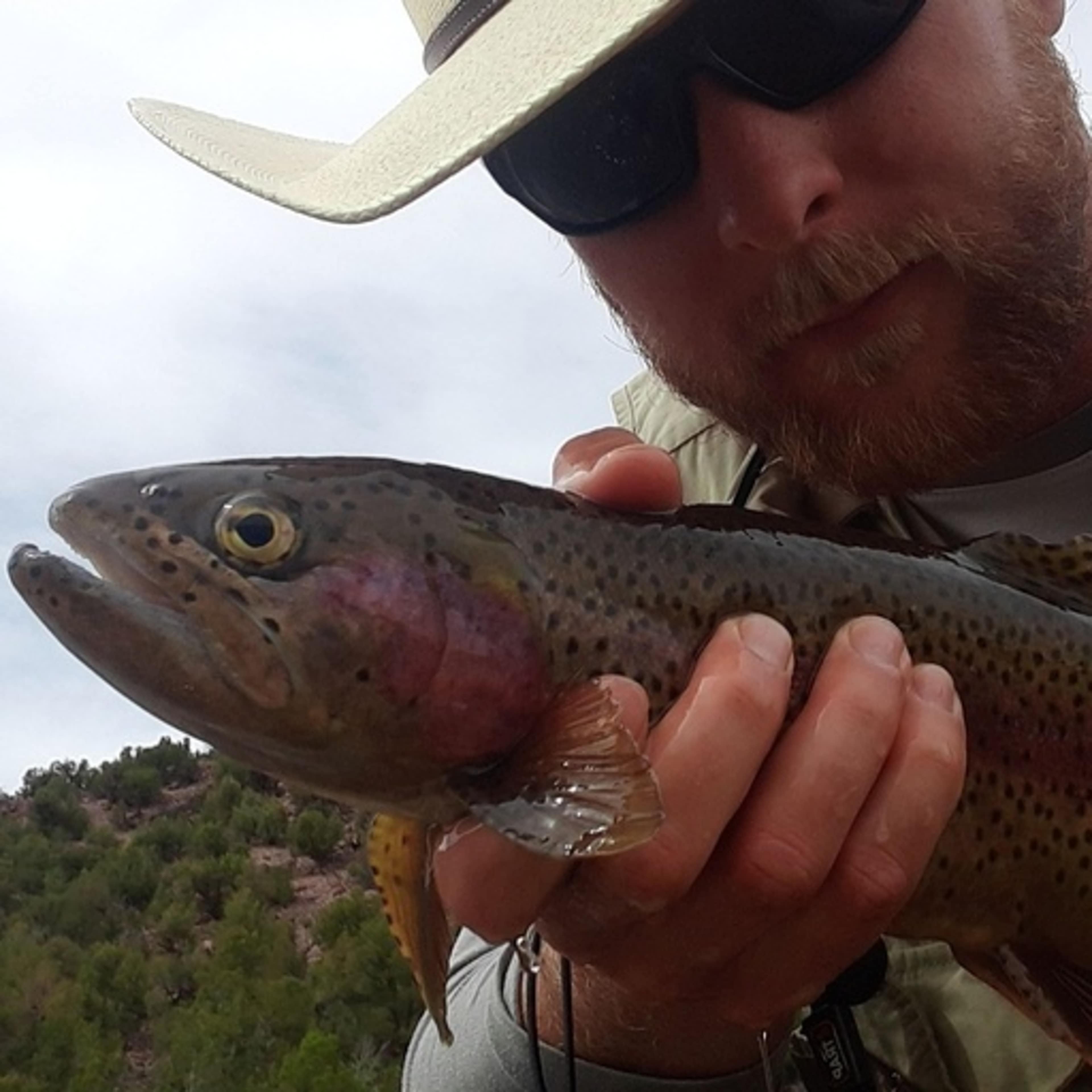 Silver Medal Pheasant Pass Lands