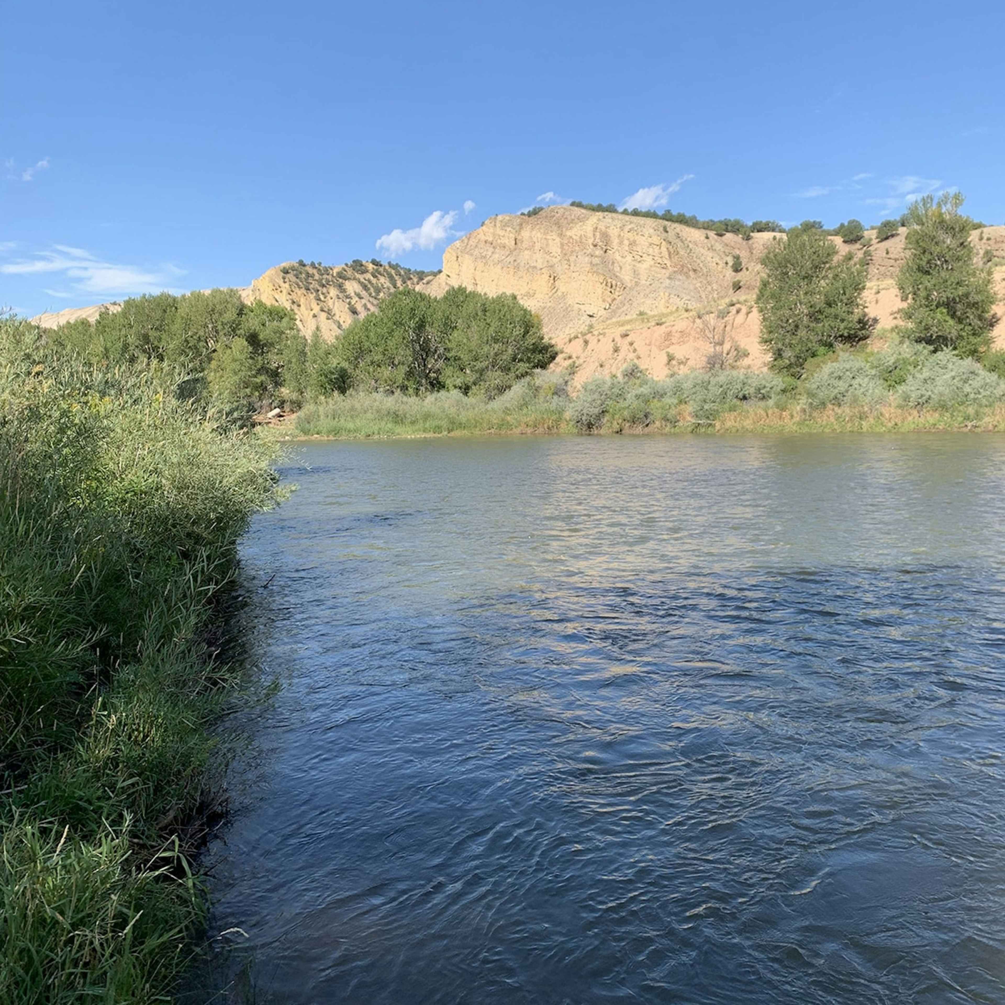 [RW] Colorado River Bend