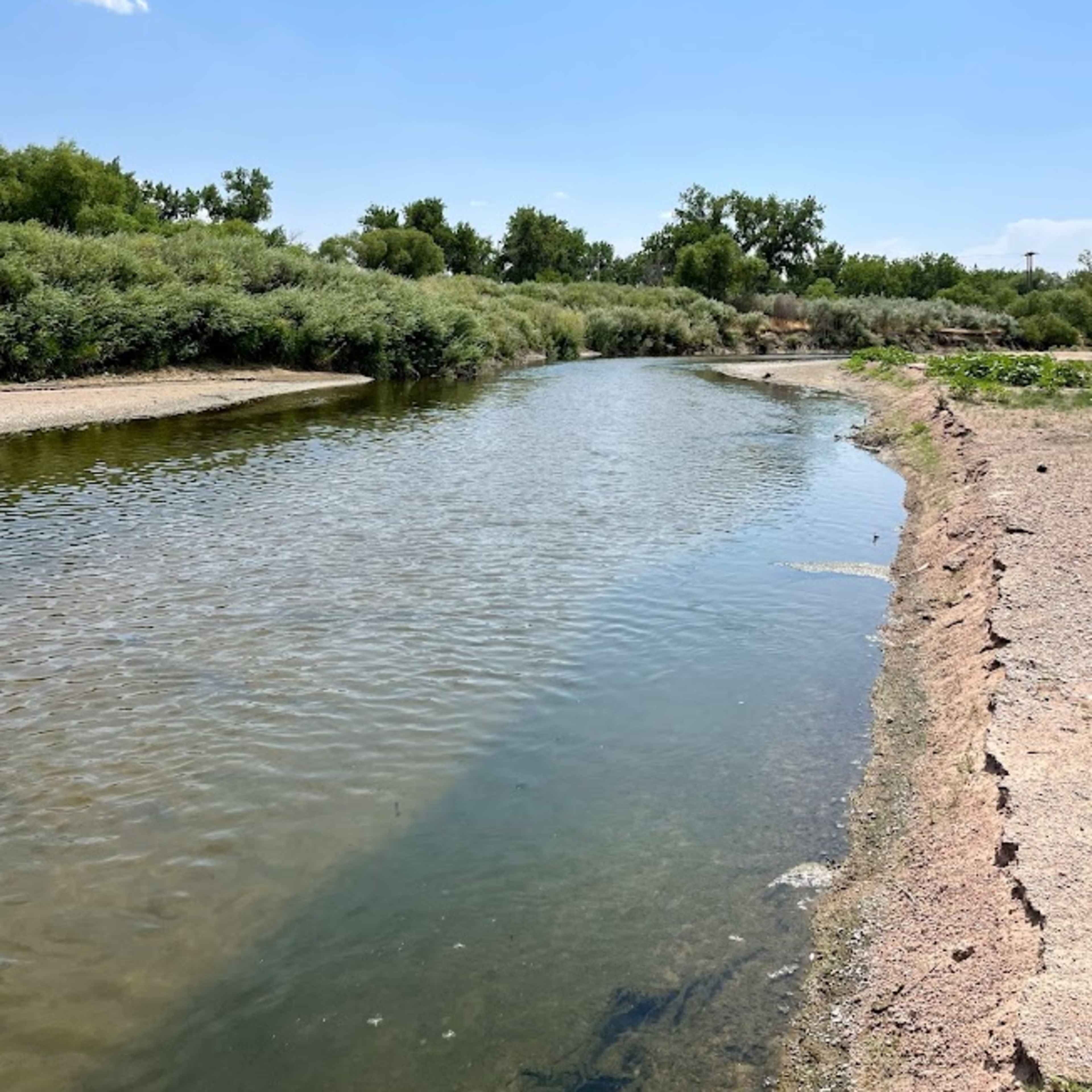 River Bend - East Side Dove