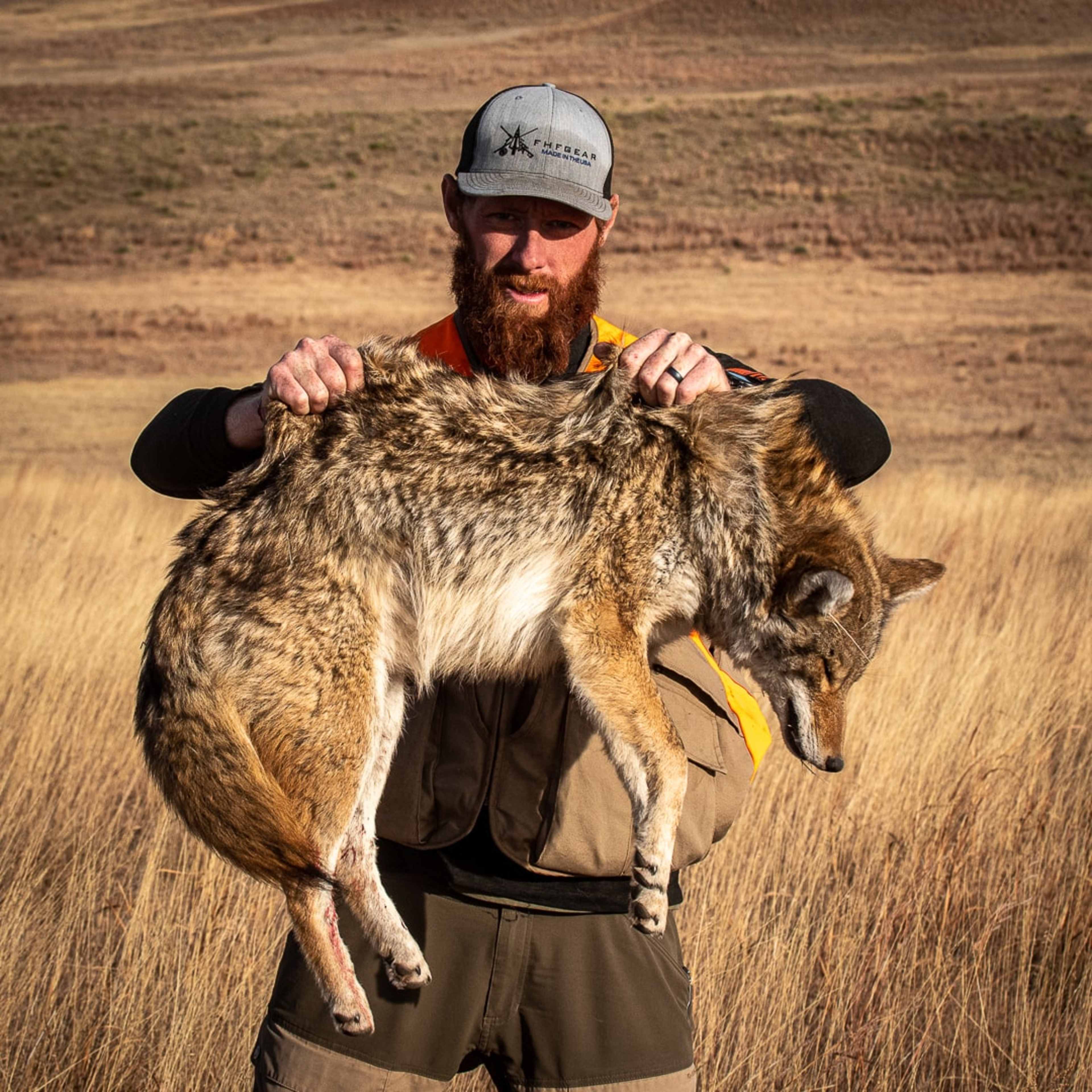 Plains Creek Yotes