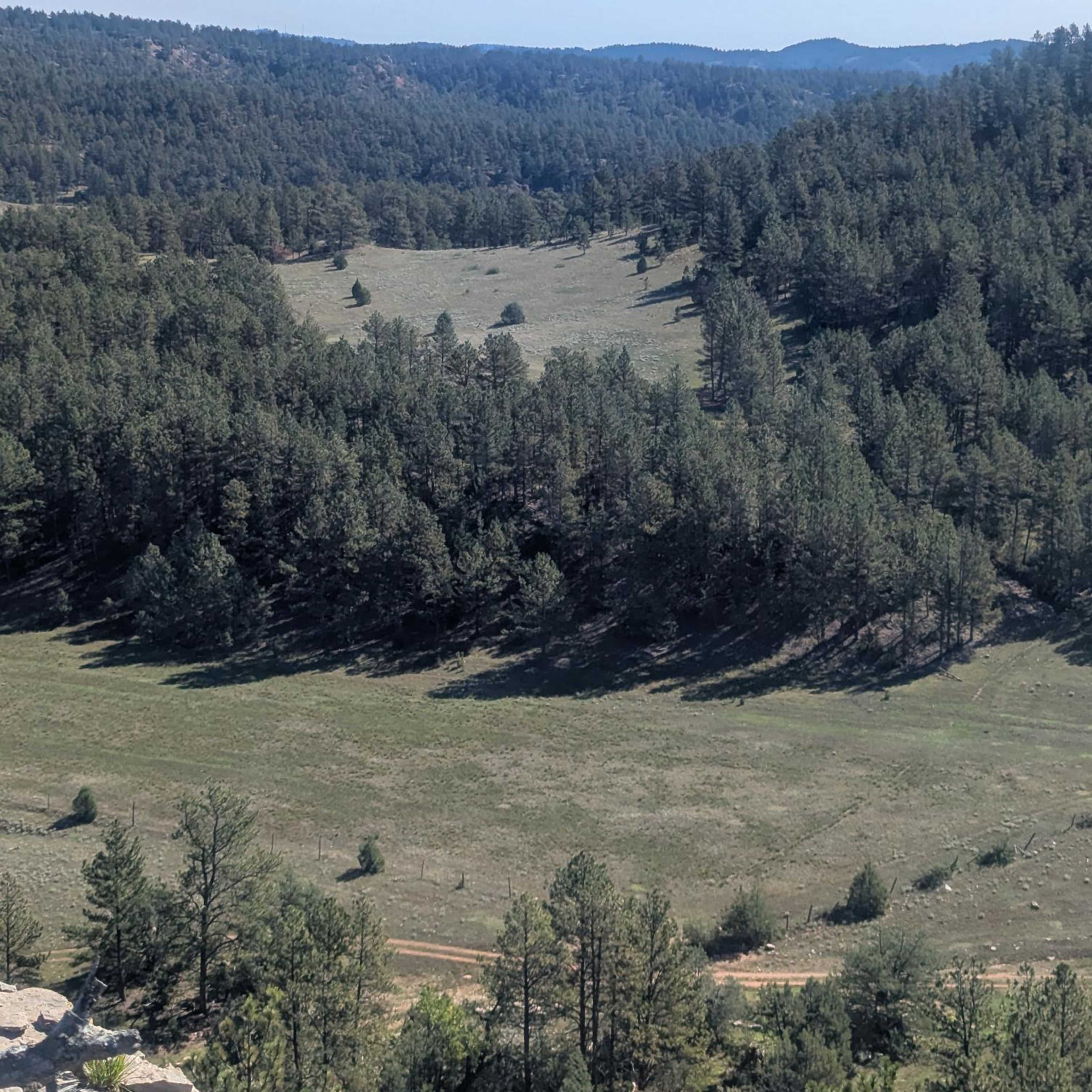 Cottonwood Springs - Elk (Cow/Calf)