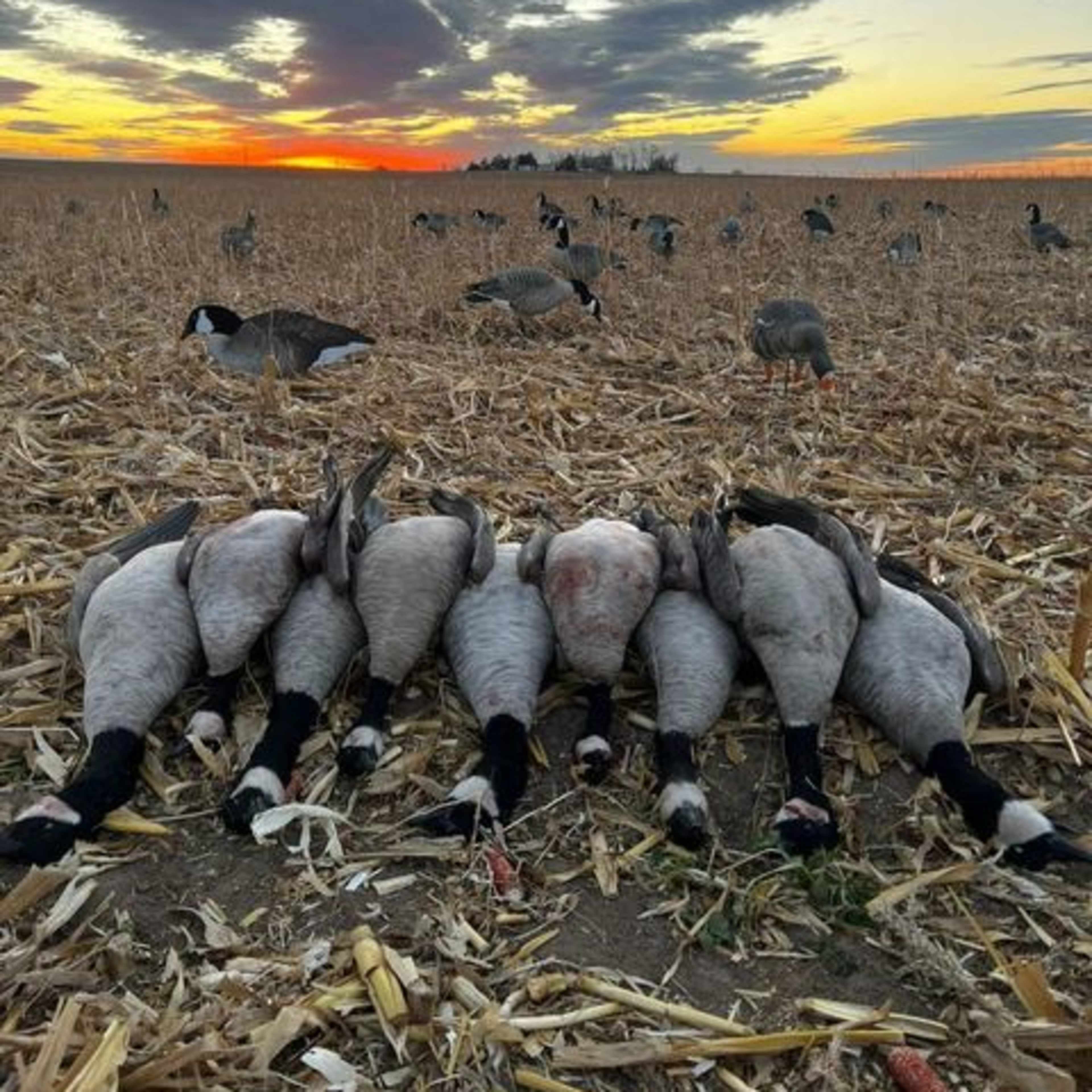 Platte Valley North - 4 Man Goose Pit