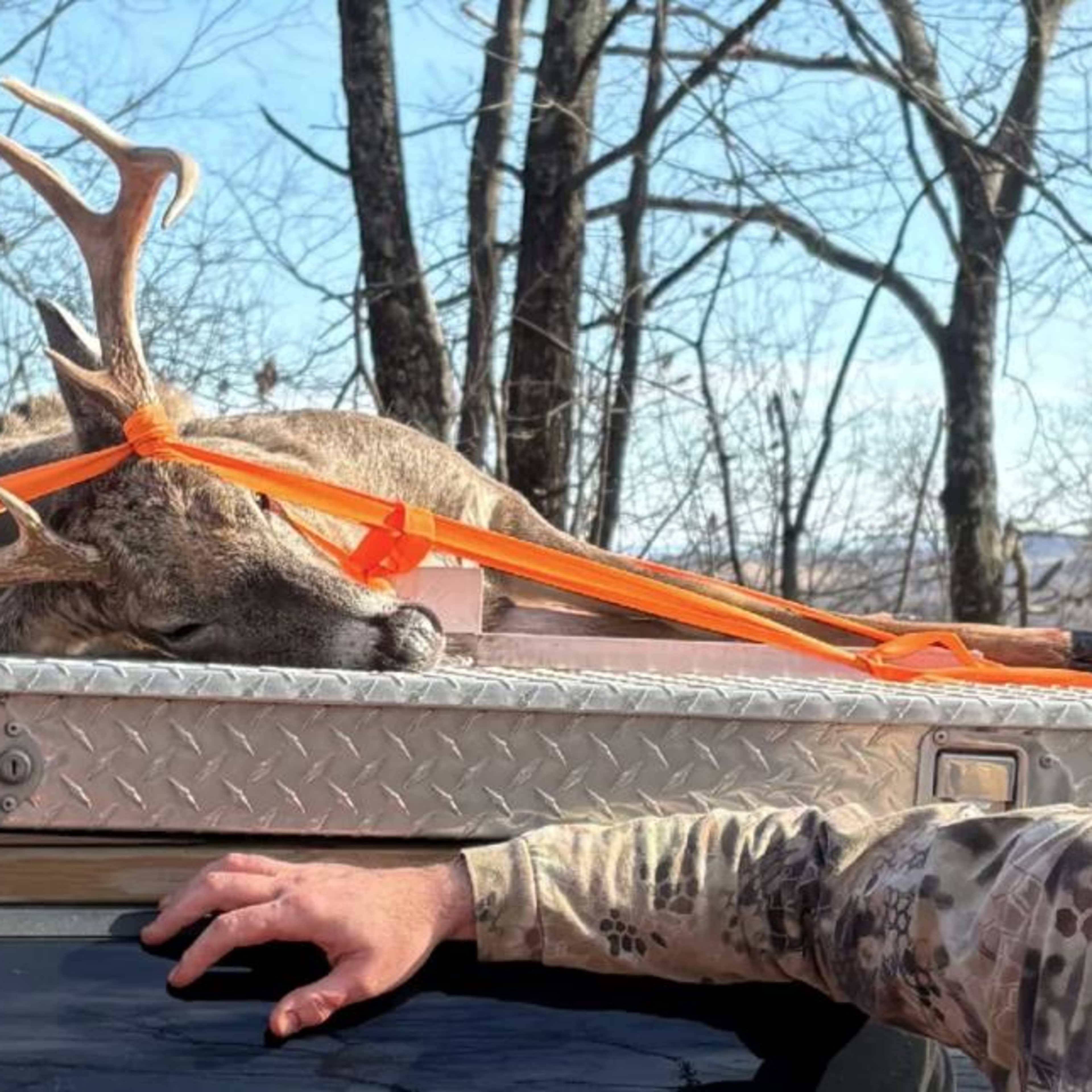 Old Glory Hunting Preserve - Whitetail (Pre/Post Rut) 14 Day Hunt