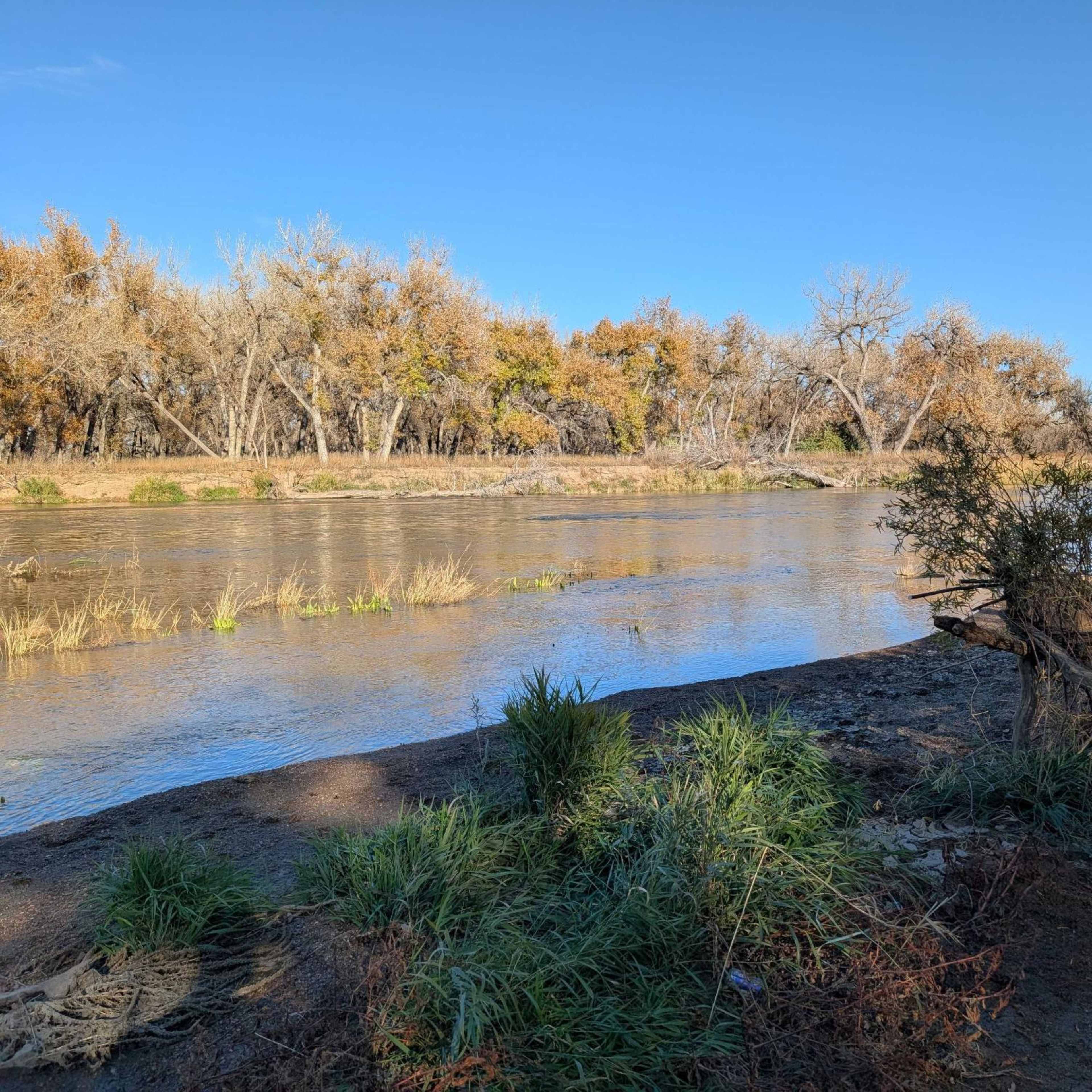 Faithful Waters - Brush Blind