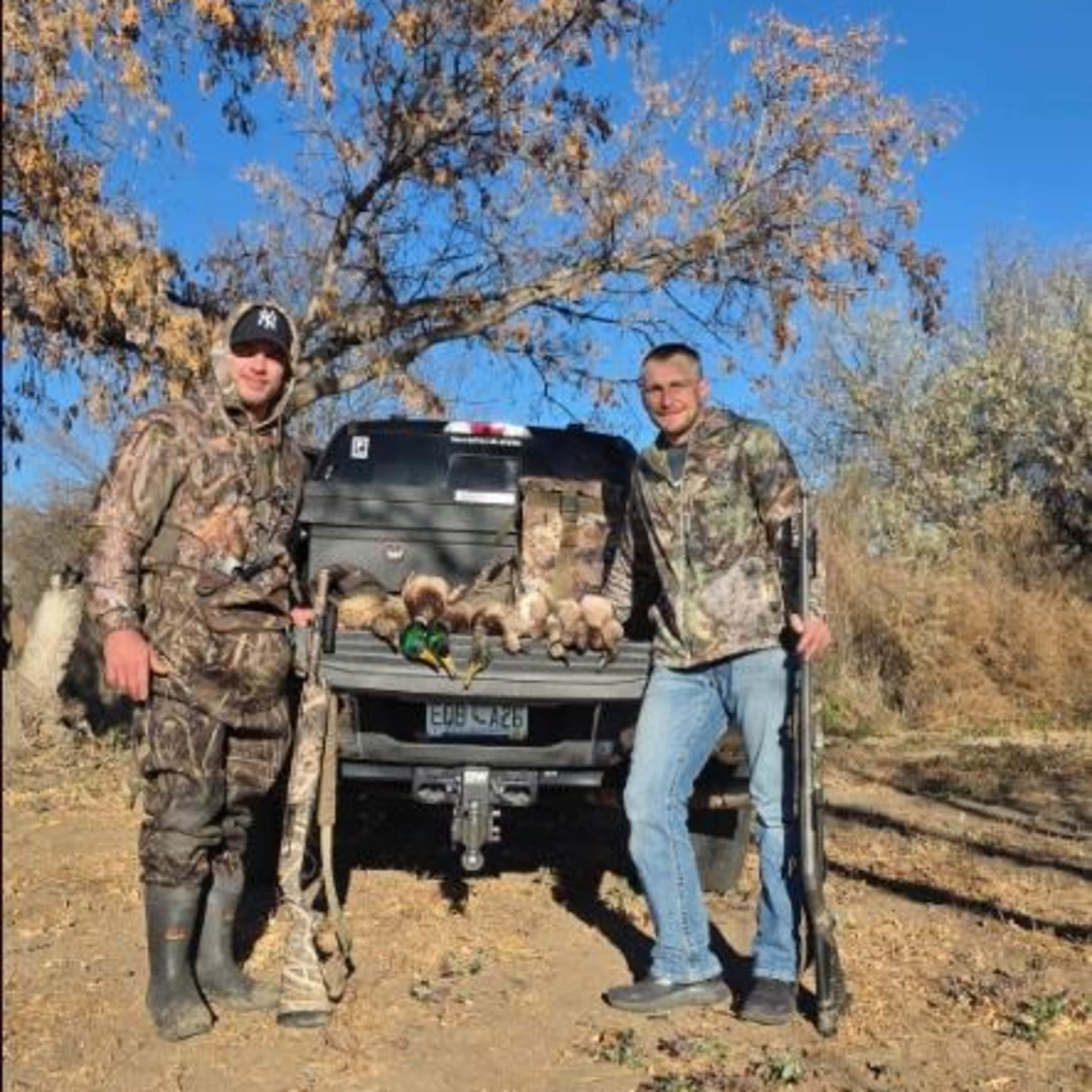 Faithful Waters - Brush Blind