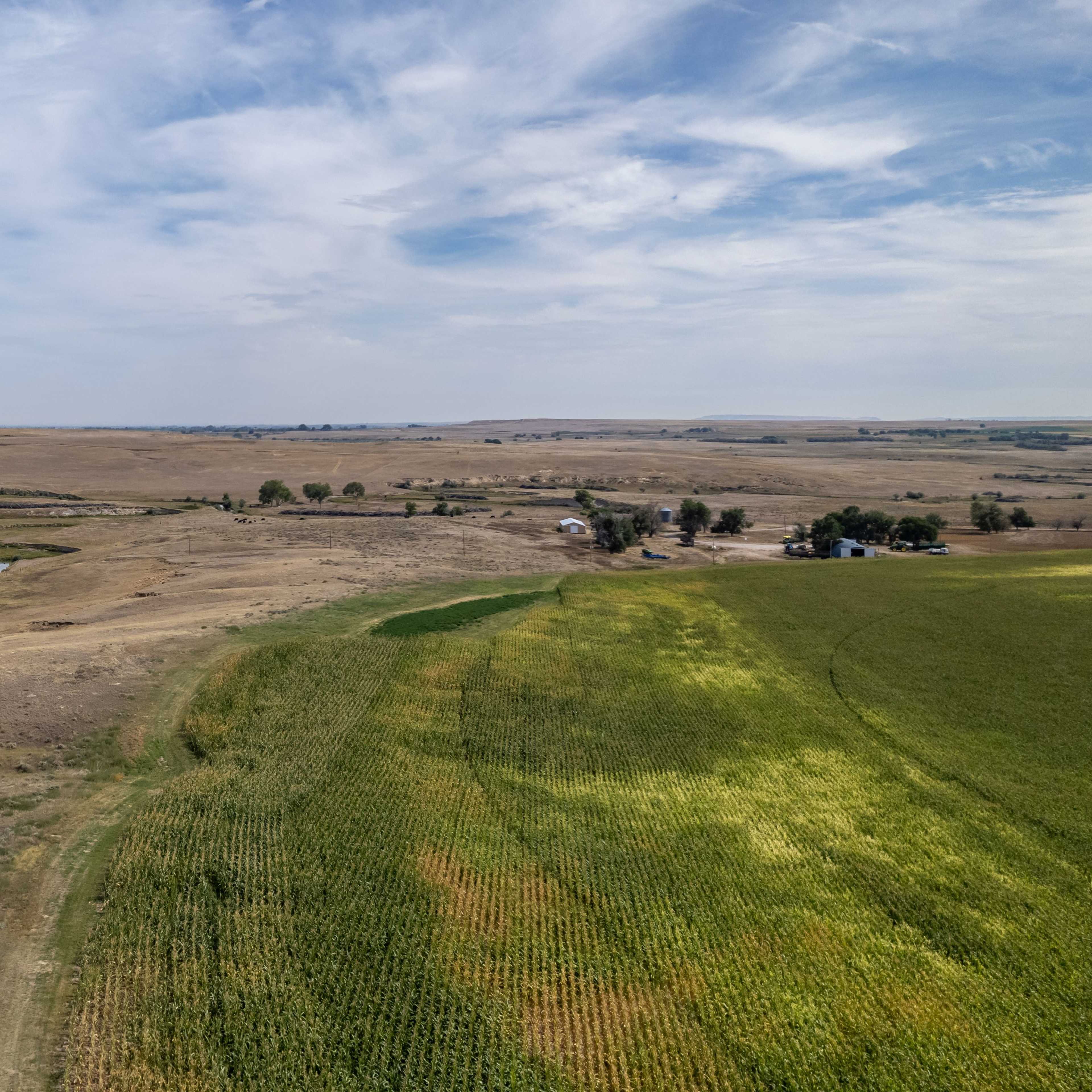 Yoder Yotes