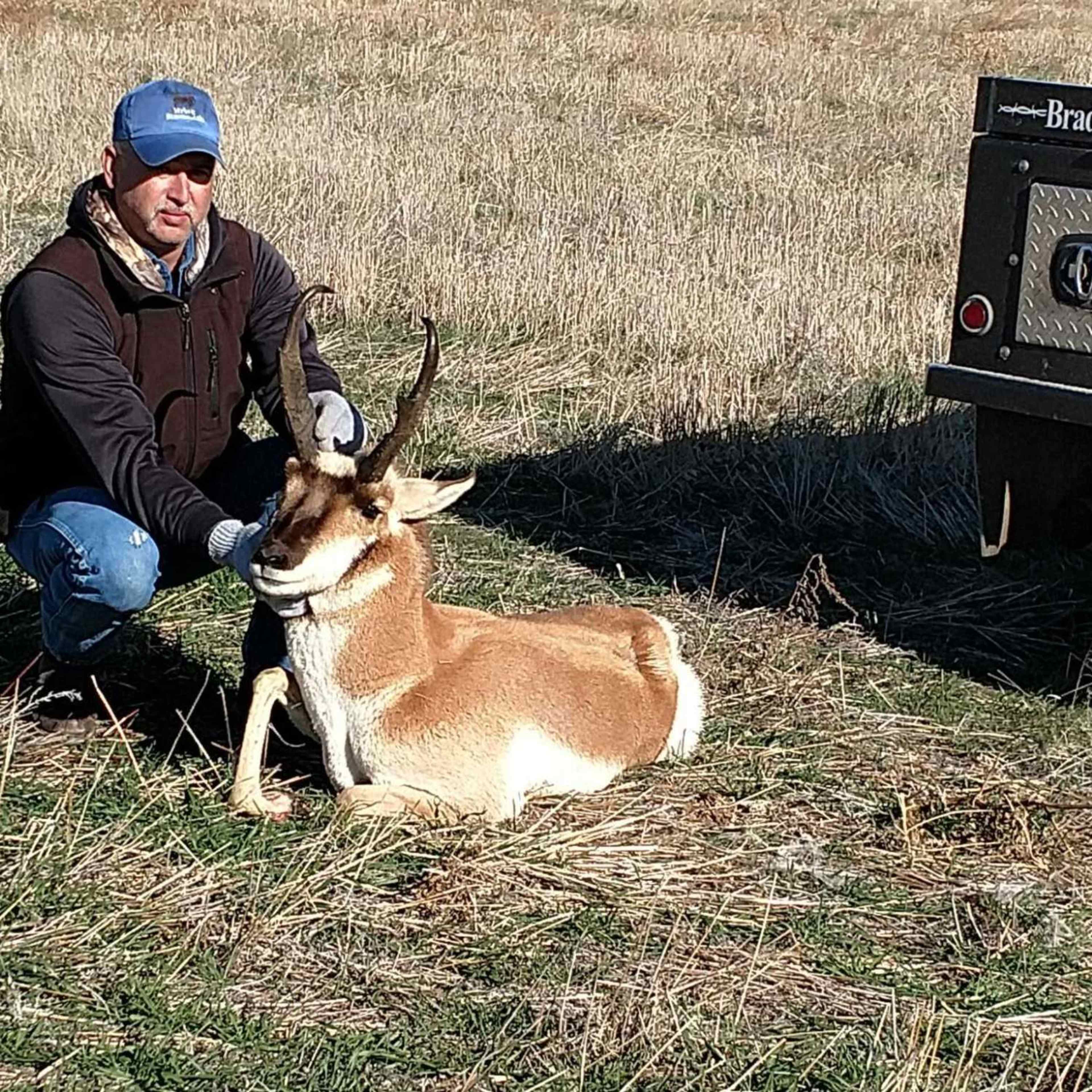 Lone Tree Road - Pronghorn