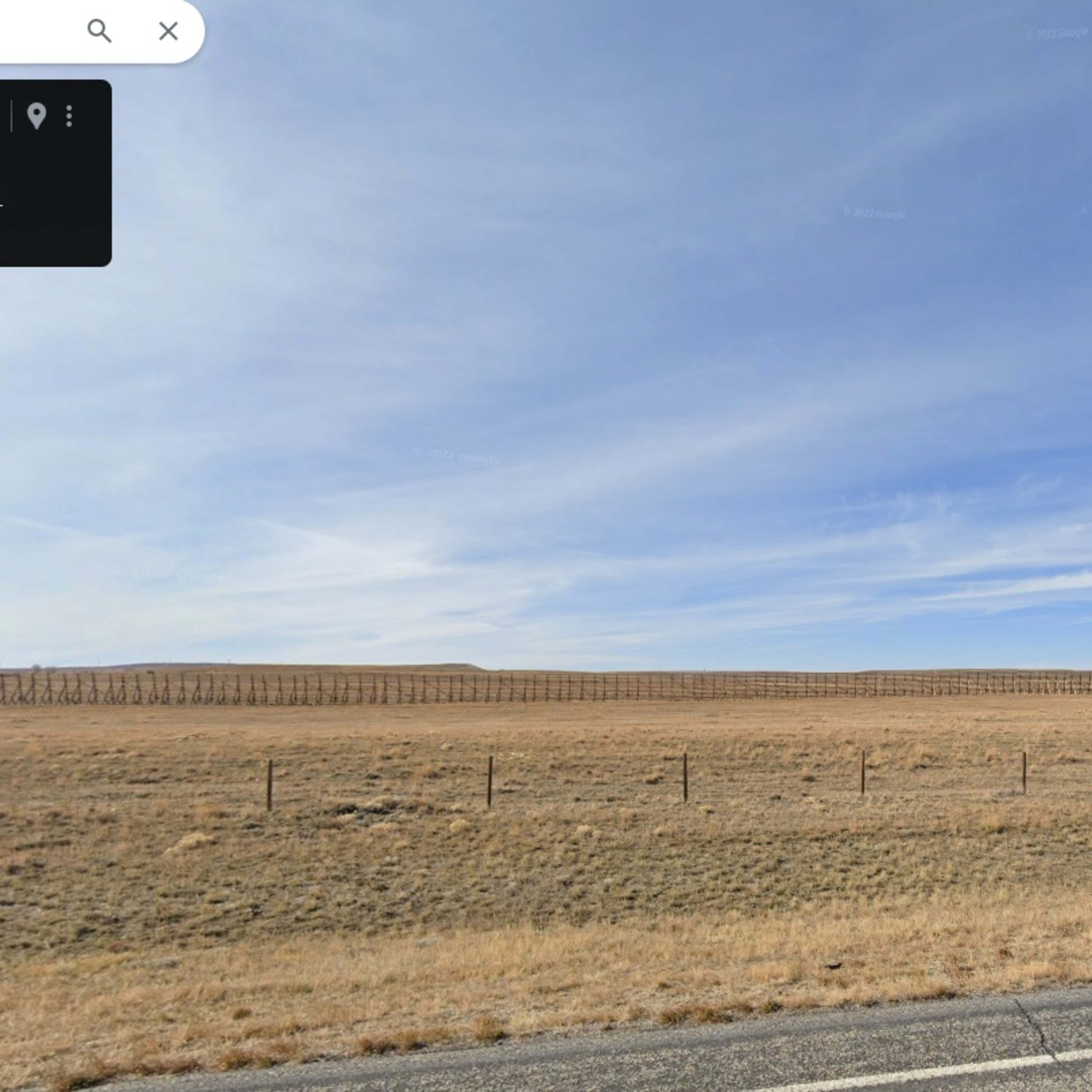 Foote Creek Pronghorn