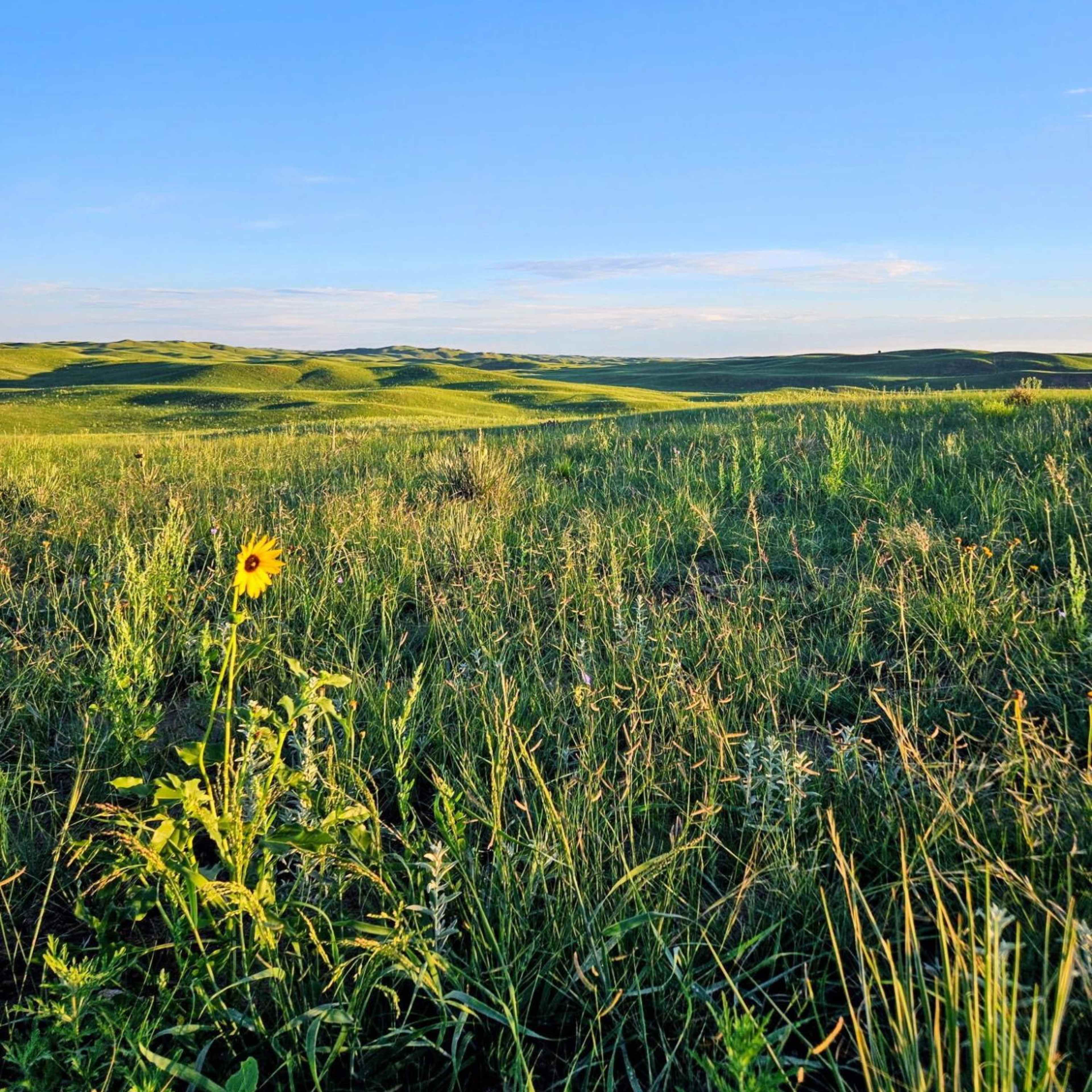 Blue Creek Ranch (North)  - Turkey