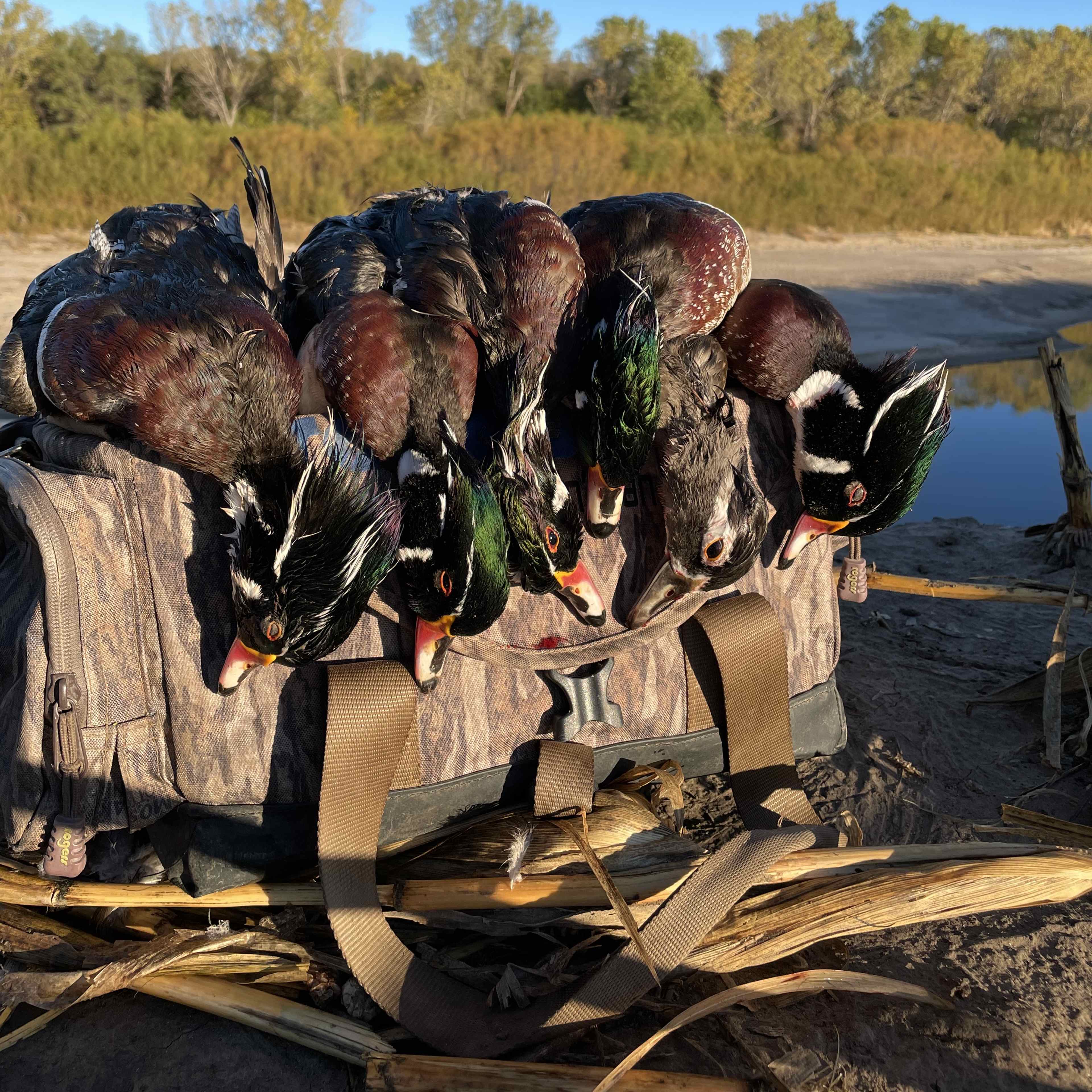 Smokey Hill River (Waterfowl)