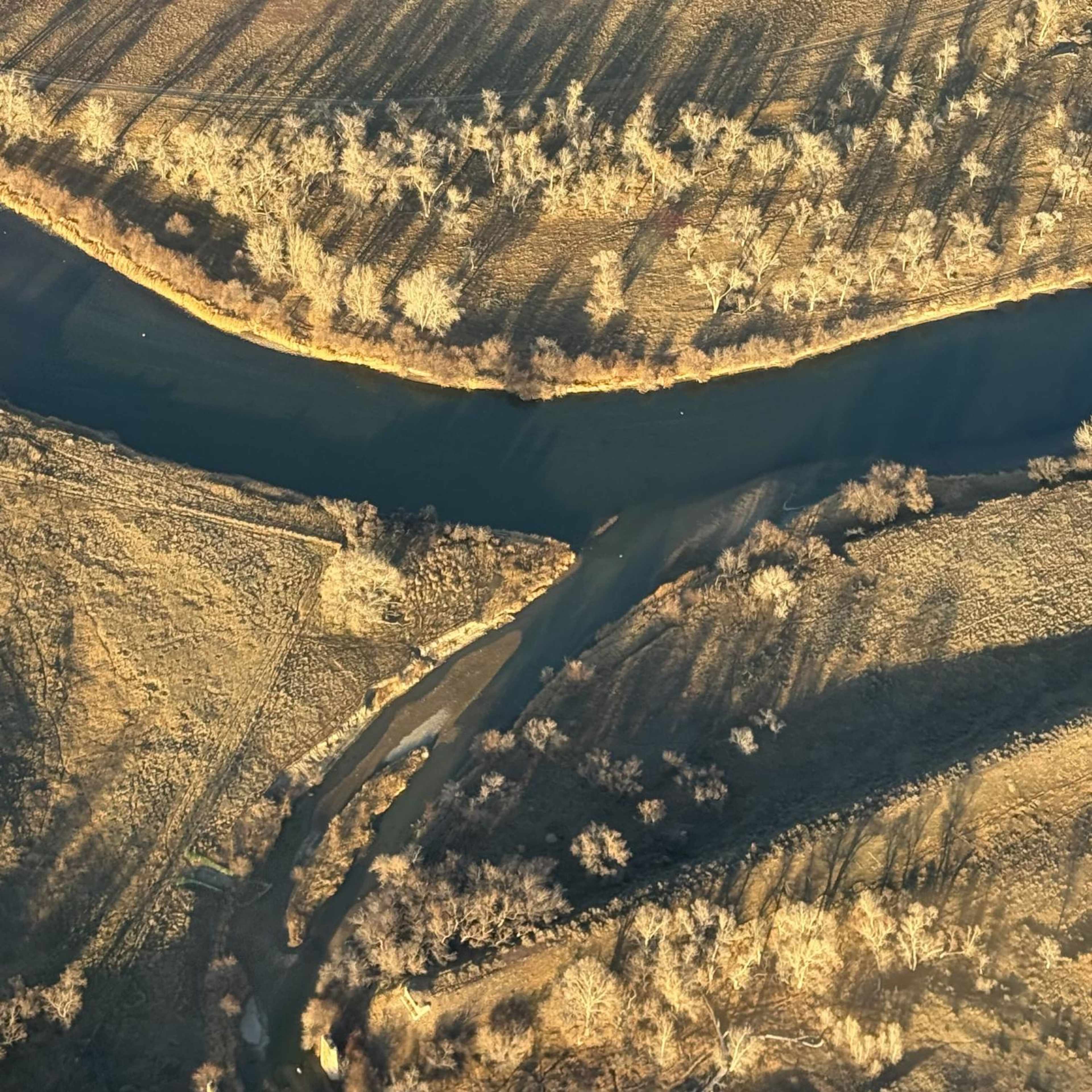 Box Elder Inlet Waterfowl