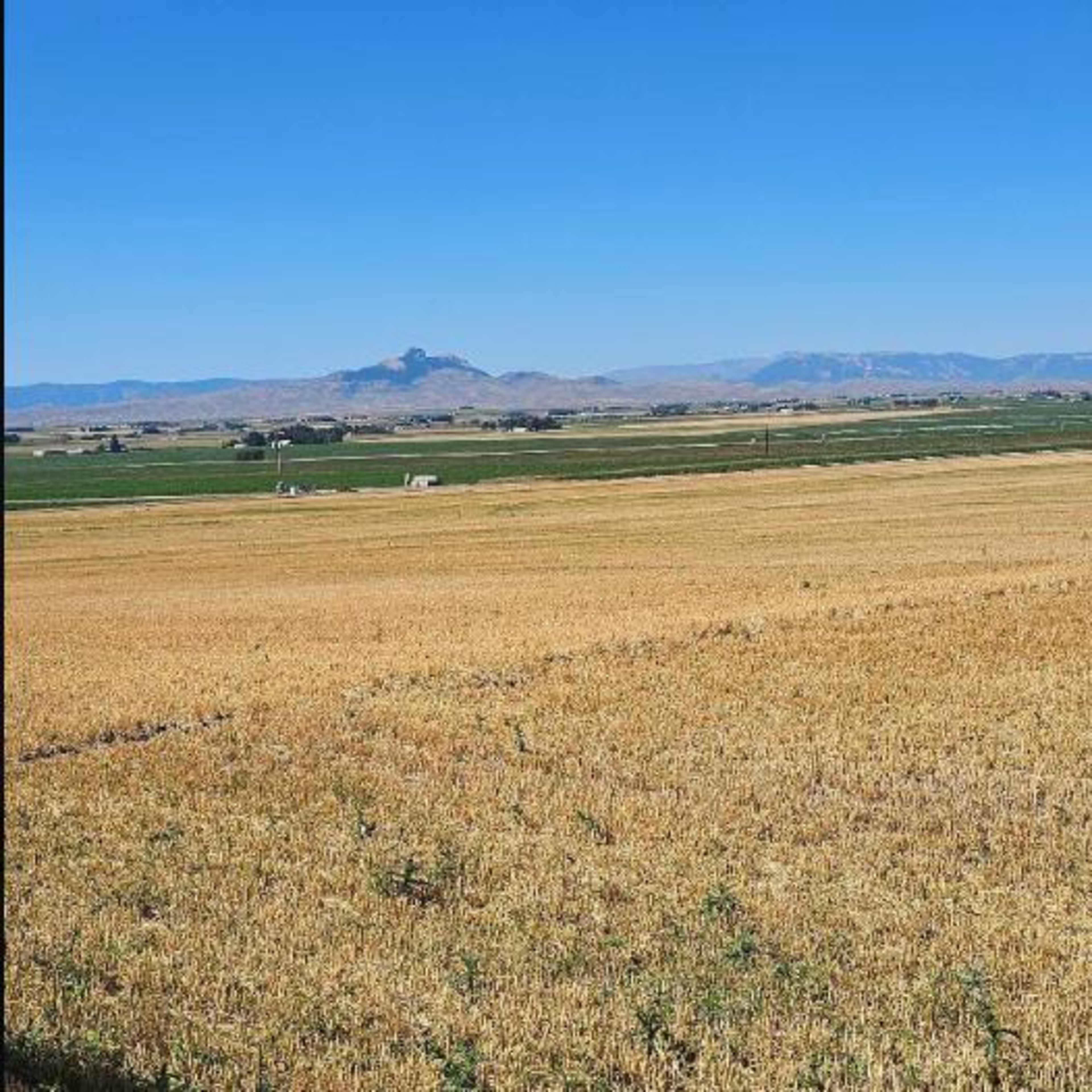 Badger Basin - Small Game