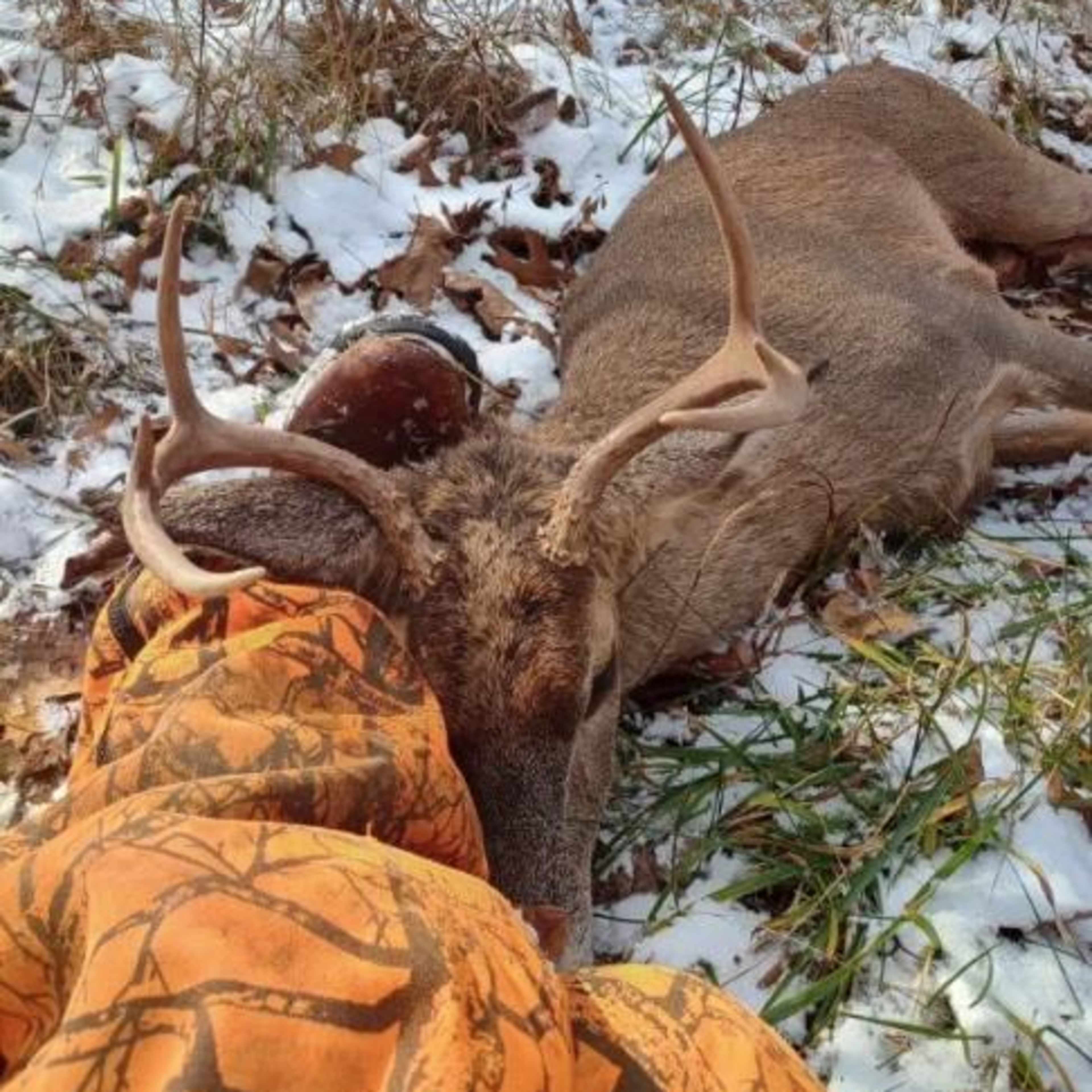 Old Glory Hunting Preserve - Whitetail (Rifle) 8 Day Hunt