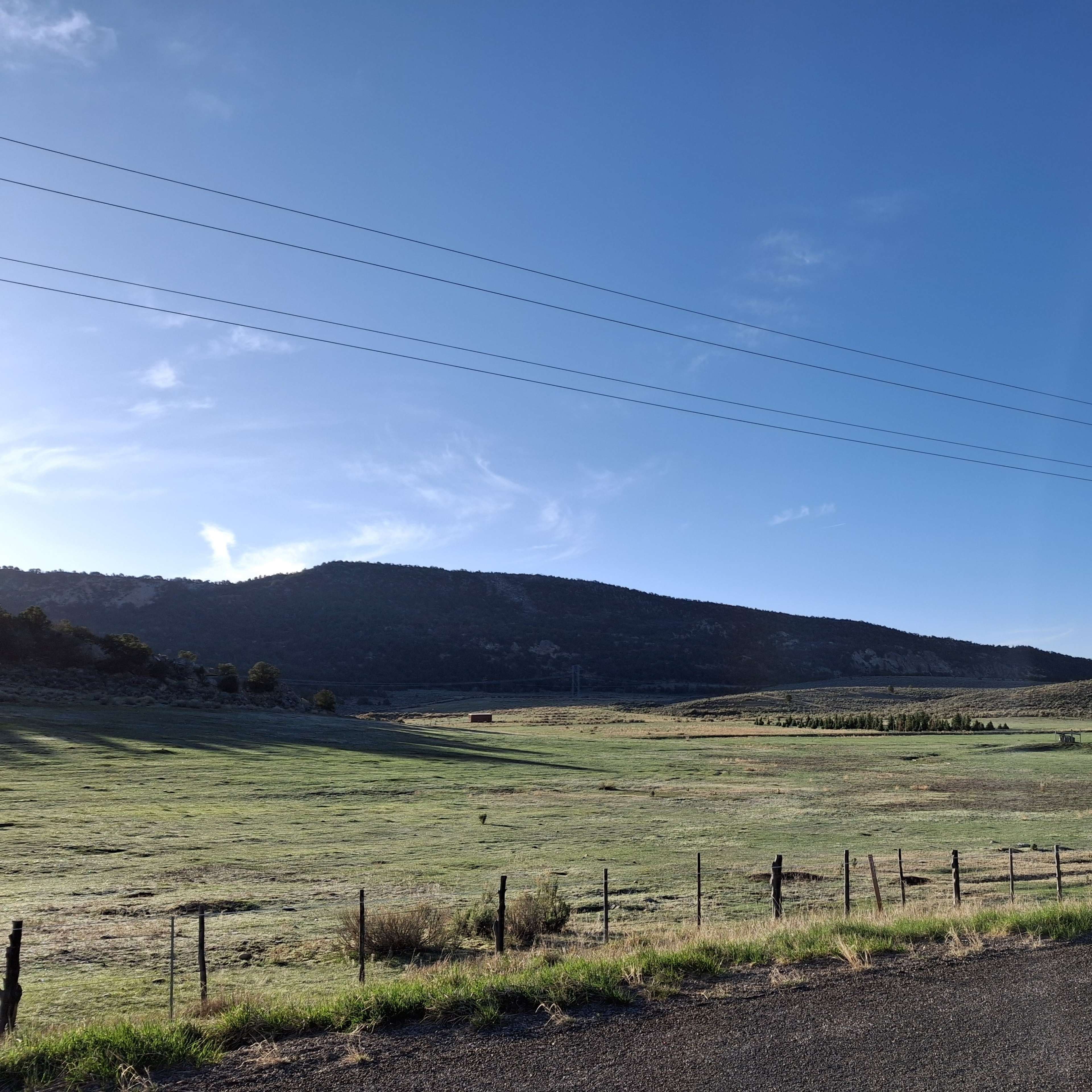 Walsh Ranch - Turkey