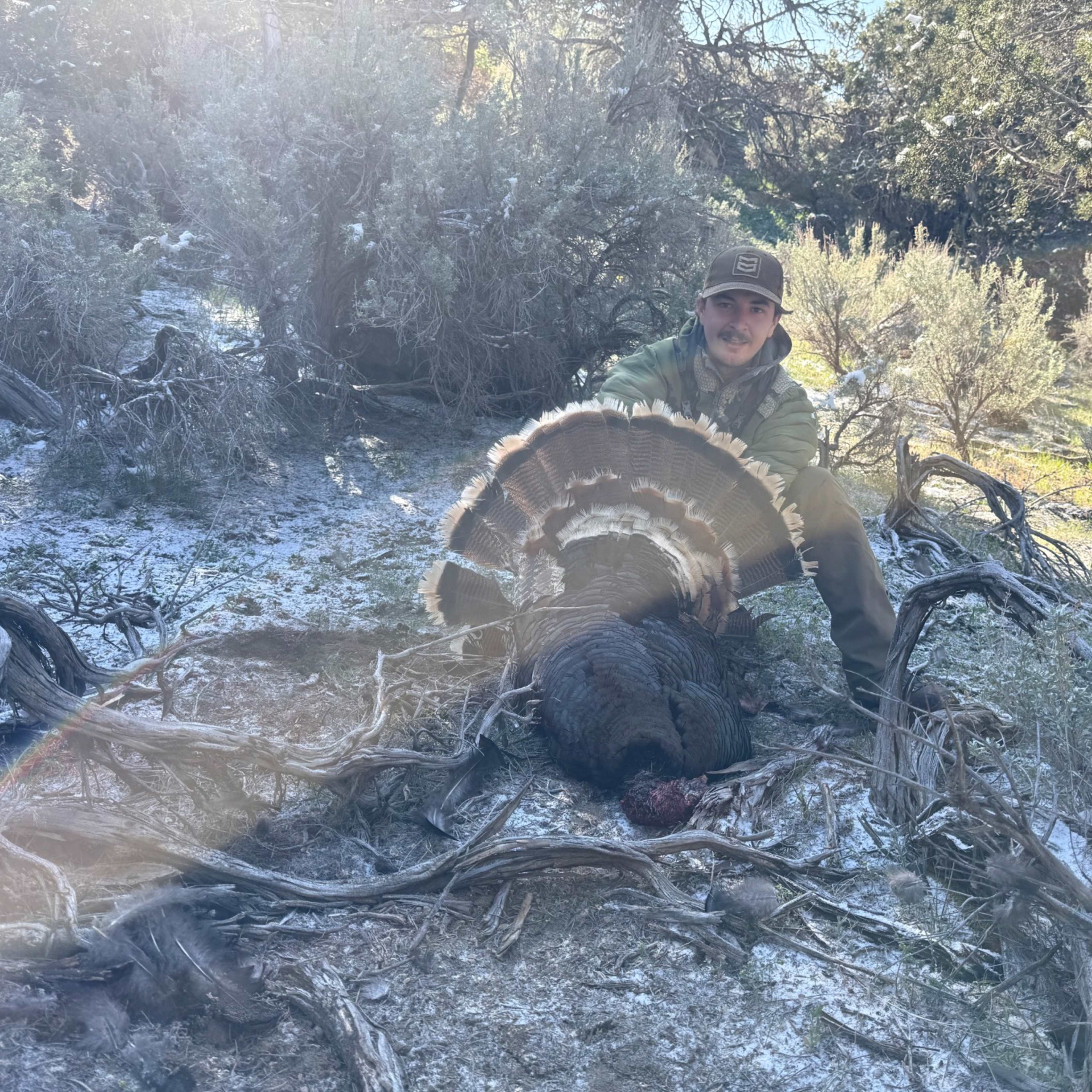 Walsh Ranch - Turkey