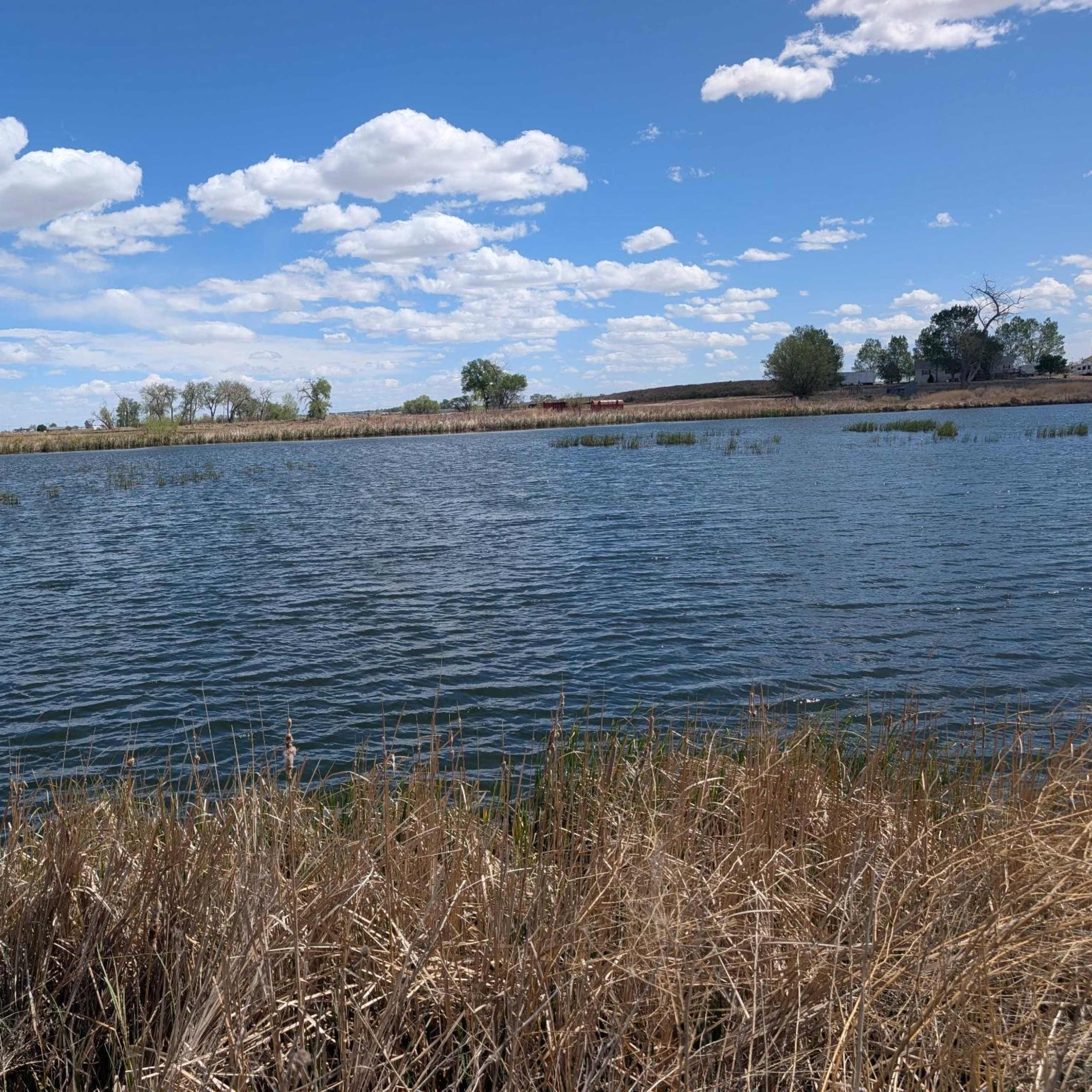 Johnson's Corner - East Pond