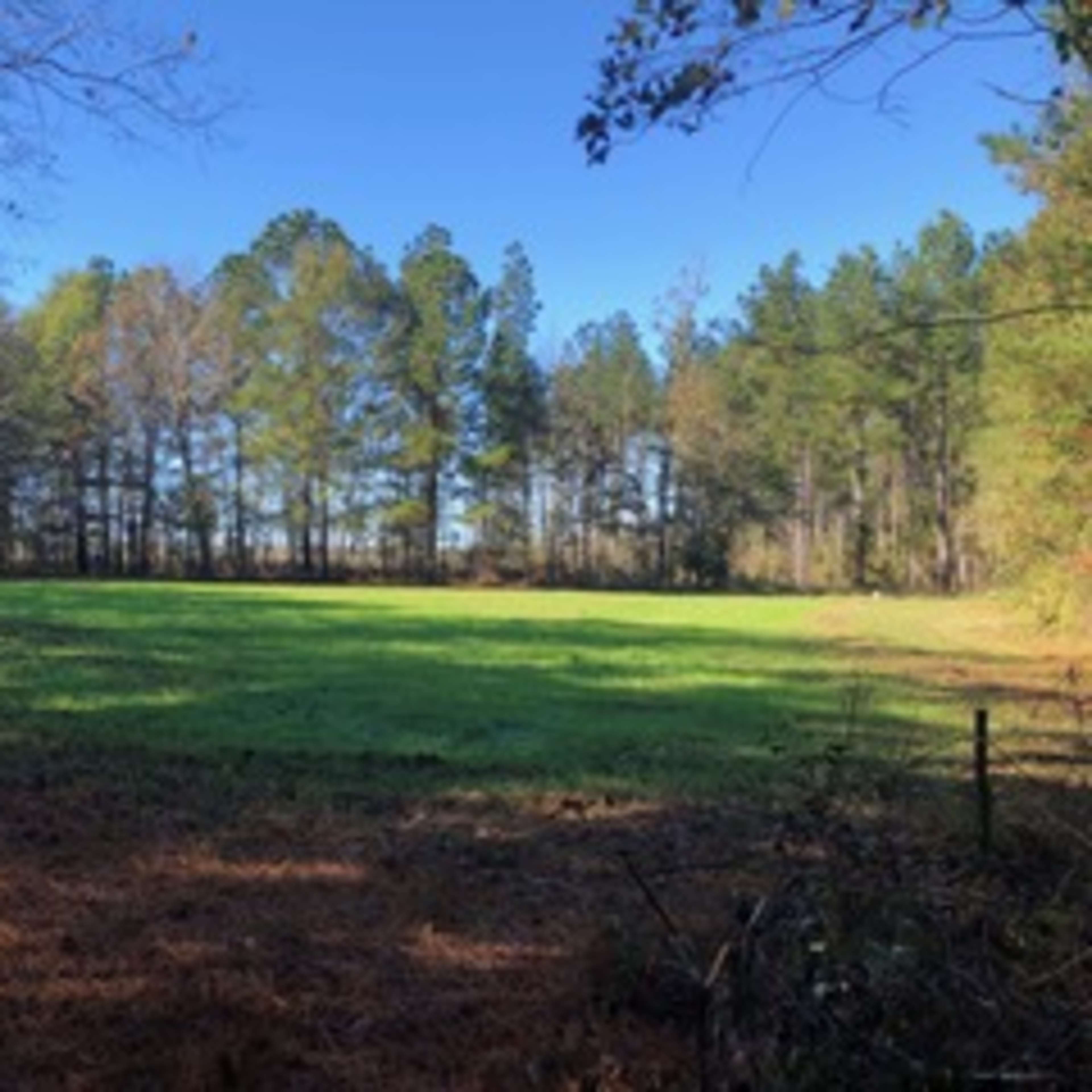 Deep South Small Game (Rabbit, Squirrel, Raccoon, Opossum, Bobcat)