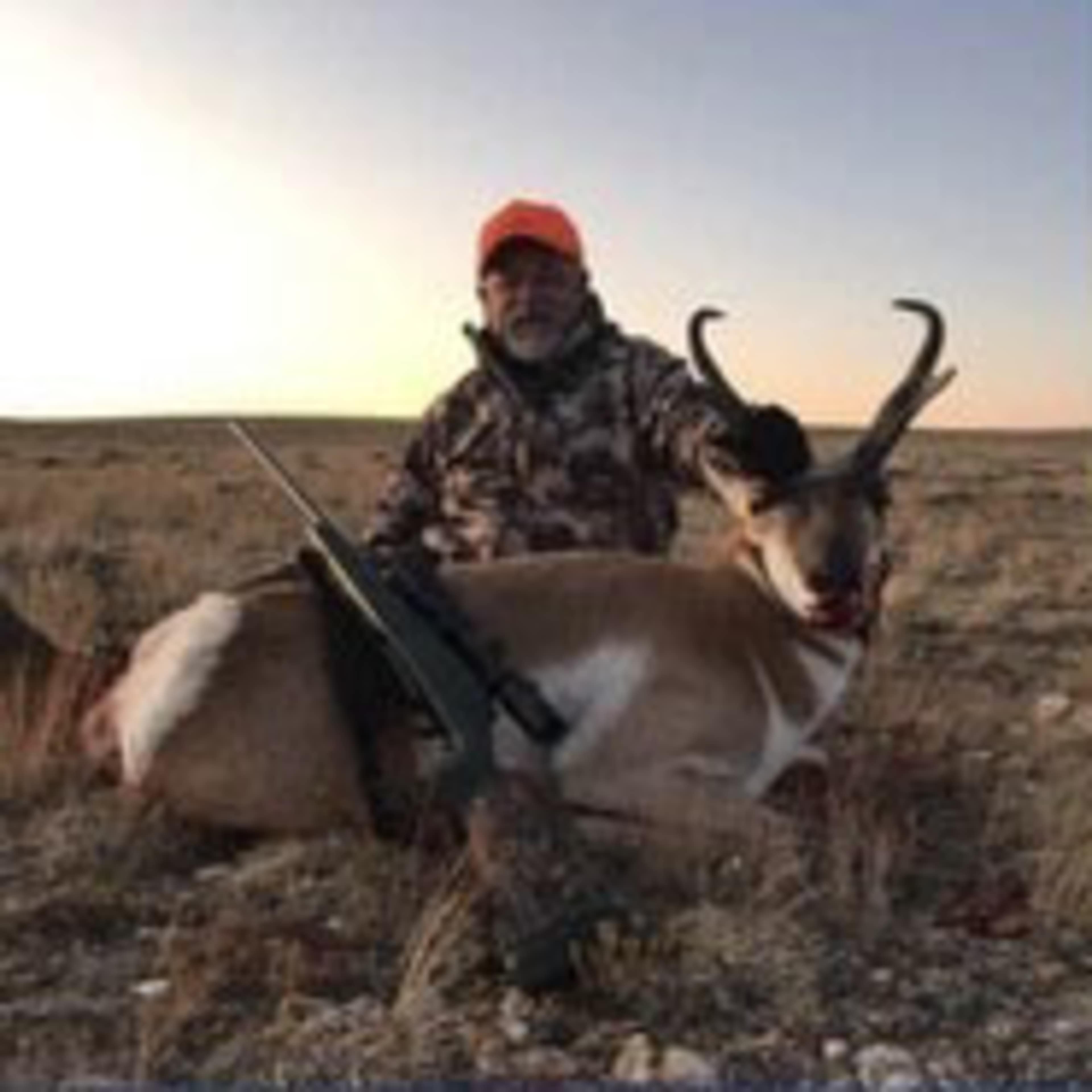 Wyoming Hill - Pronghorn