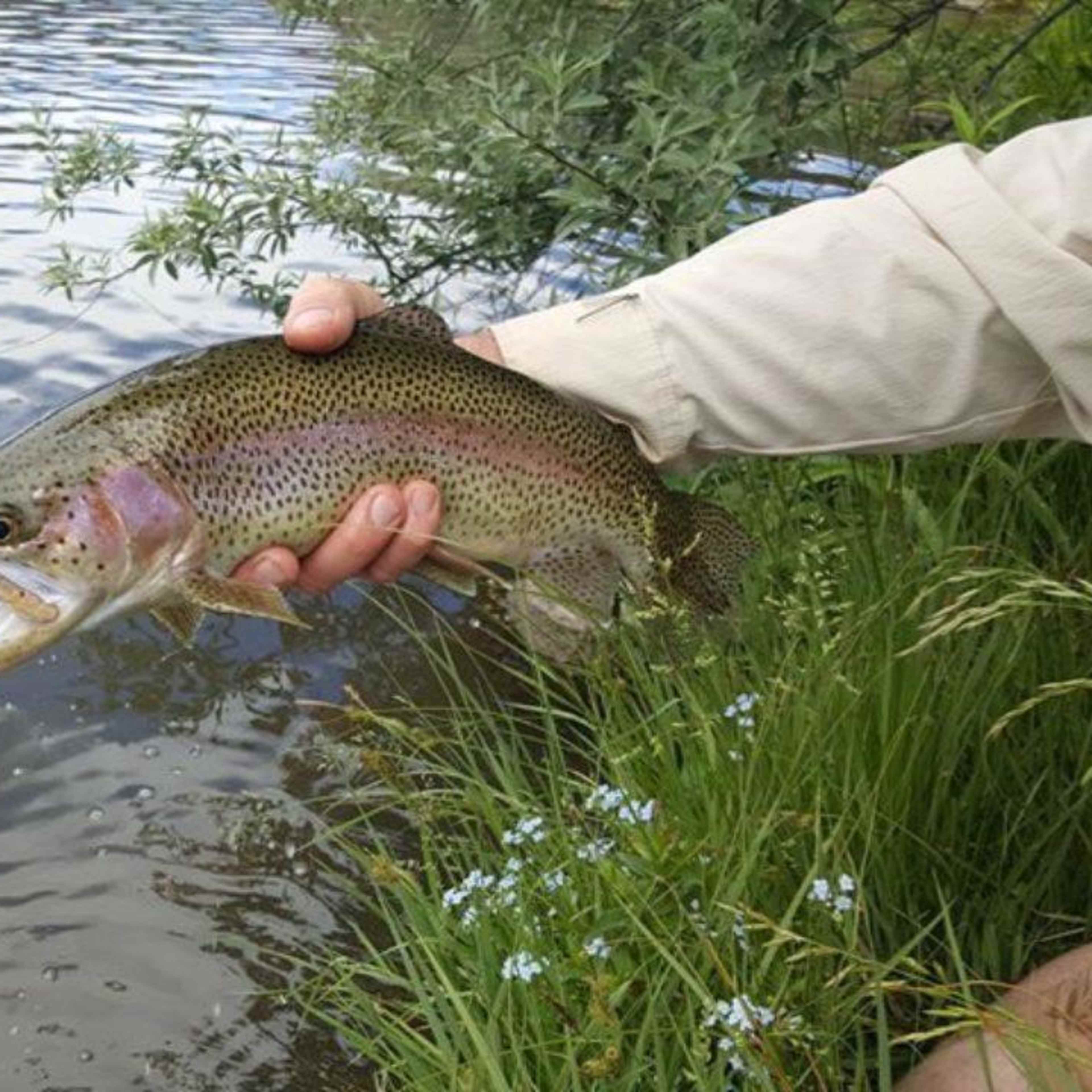 Spring Creeks Ranch - Saturday