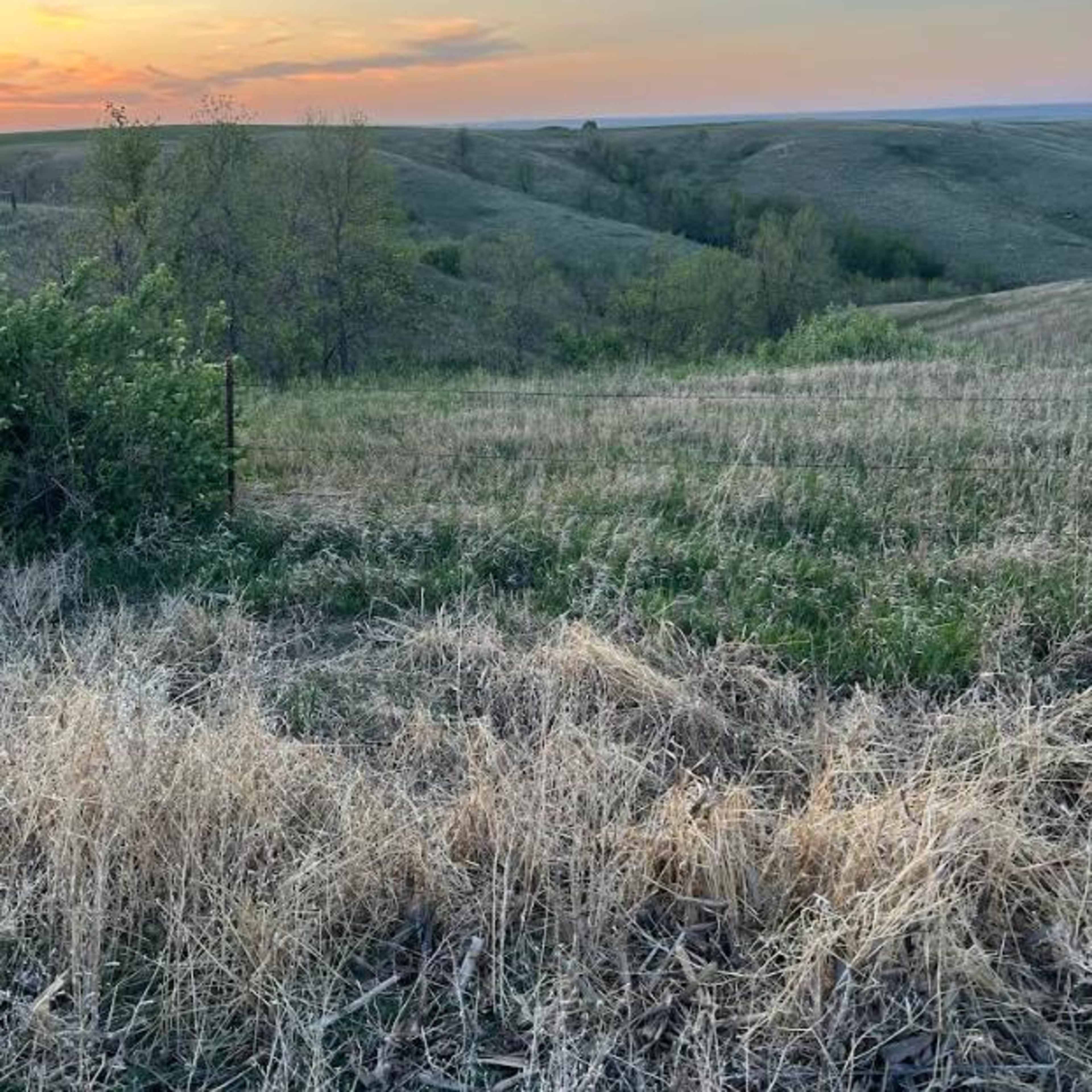 Campbell County Deer Haven South